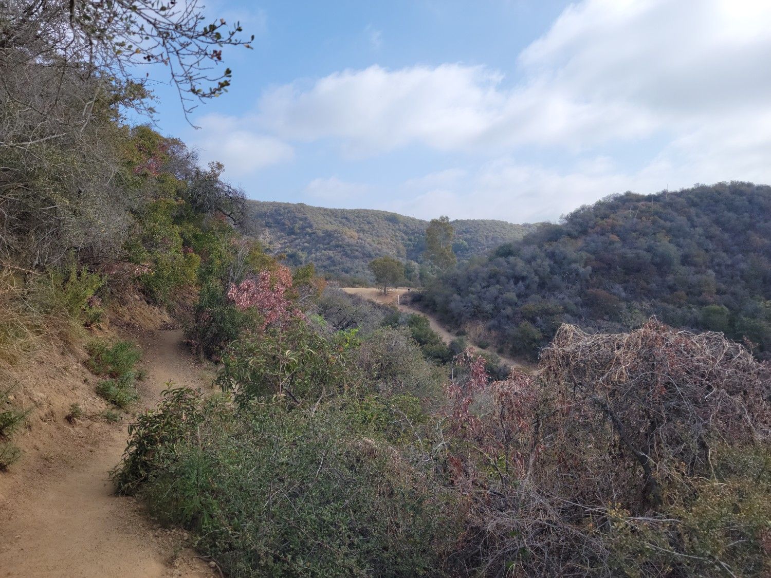 Winding dirt path through a valley with green hills under a partly cloudy sky. - Inspiration, Roger's Road, and Rodeo Ridge Loop
