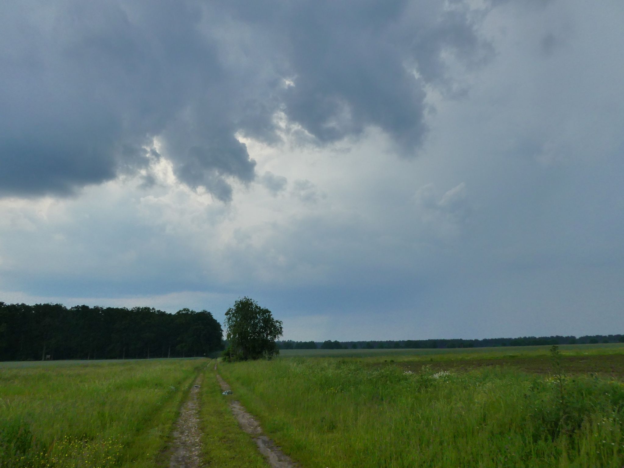 ...schnell Kette rechts