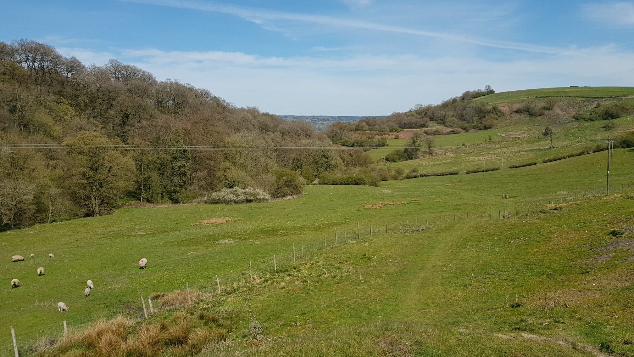 Path from Clough Wood