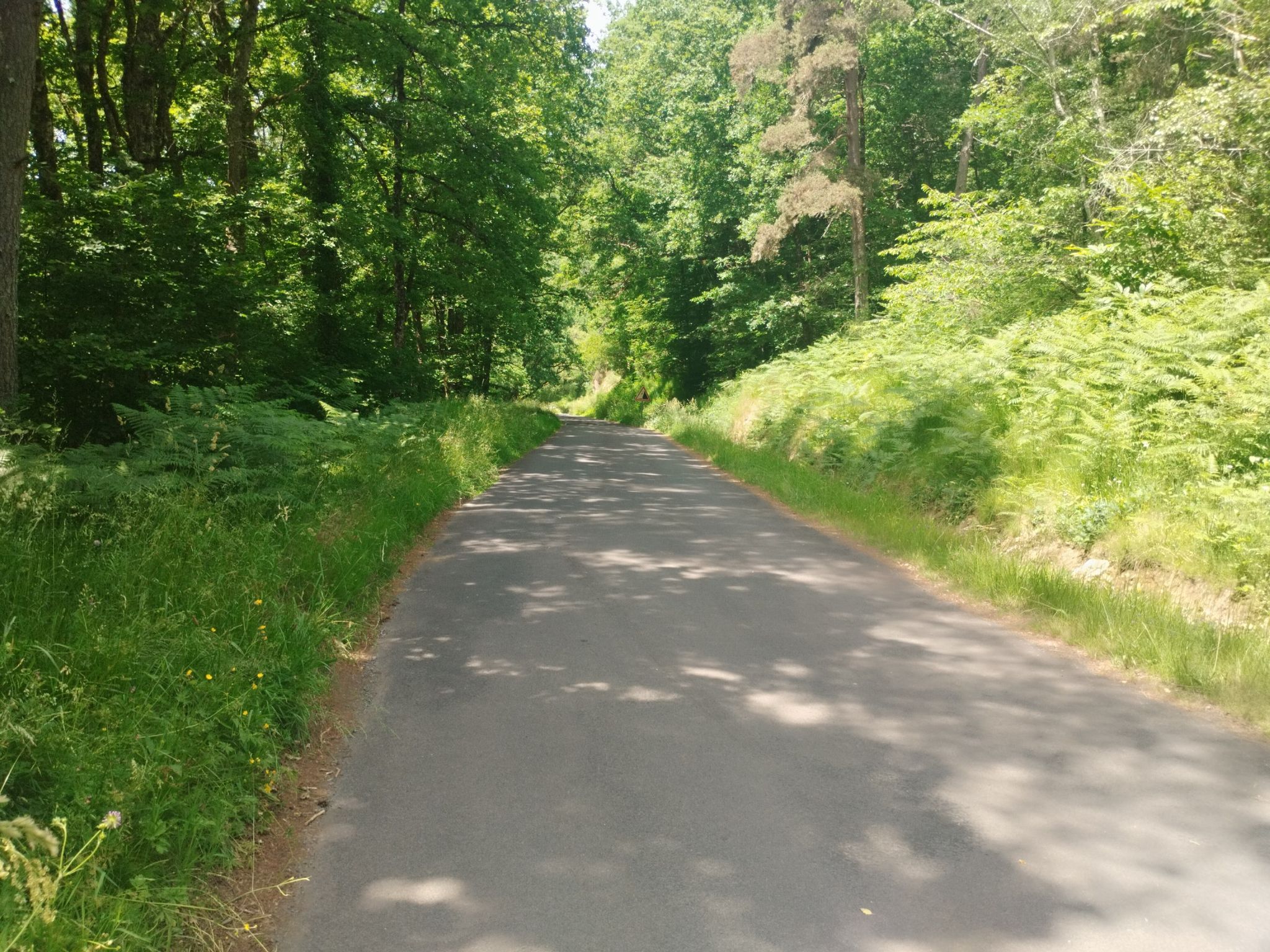 D362, kleine Straße, abwärts
