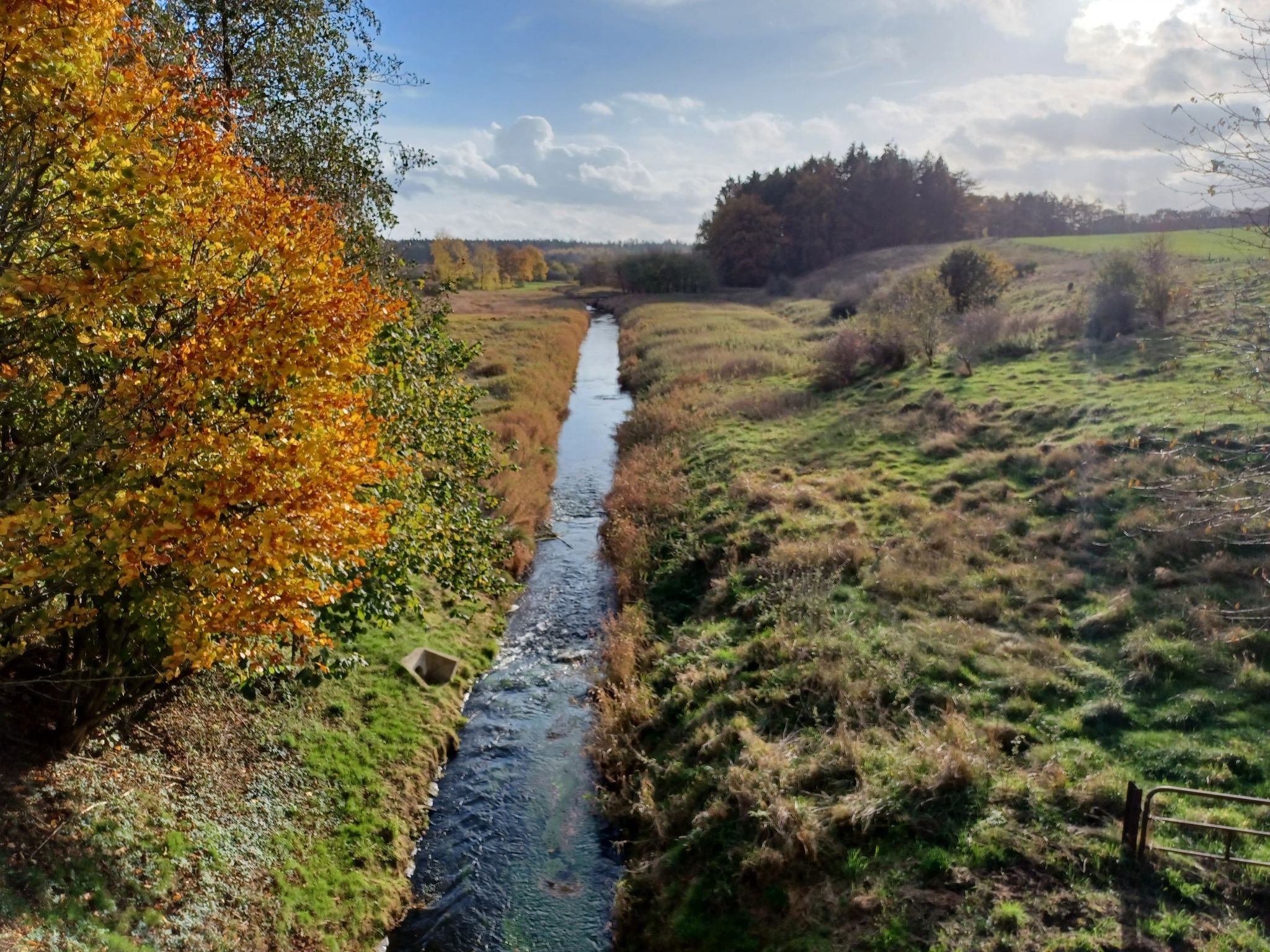 Die Ranzau