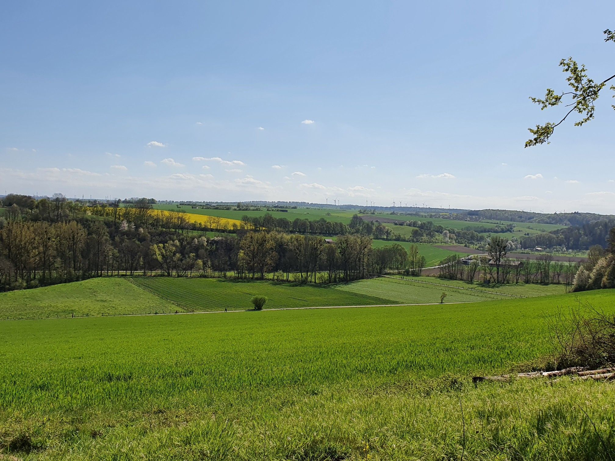 Richtung Borchen