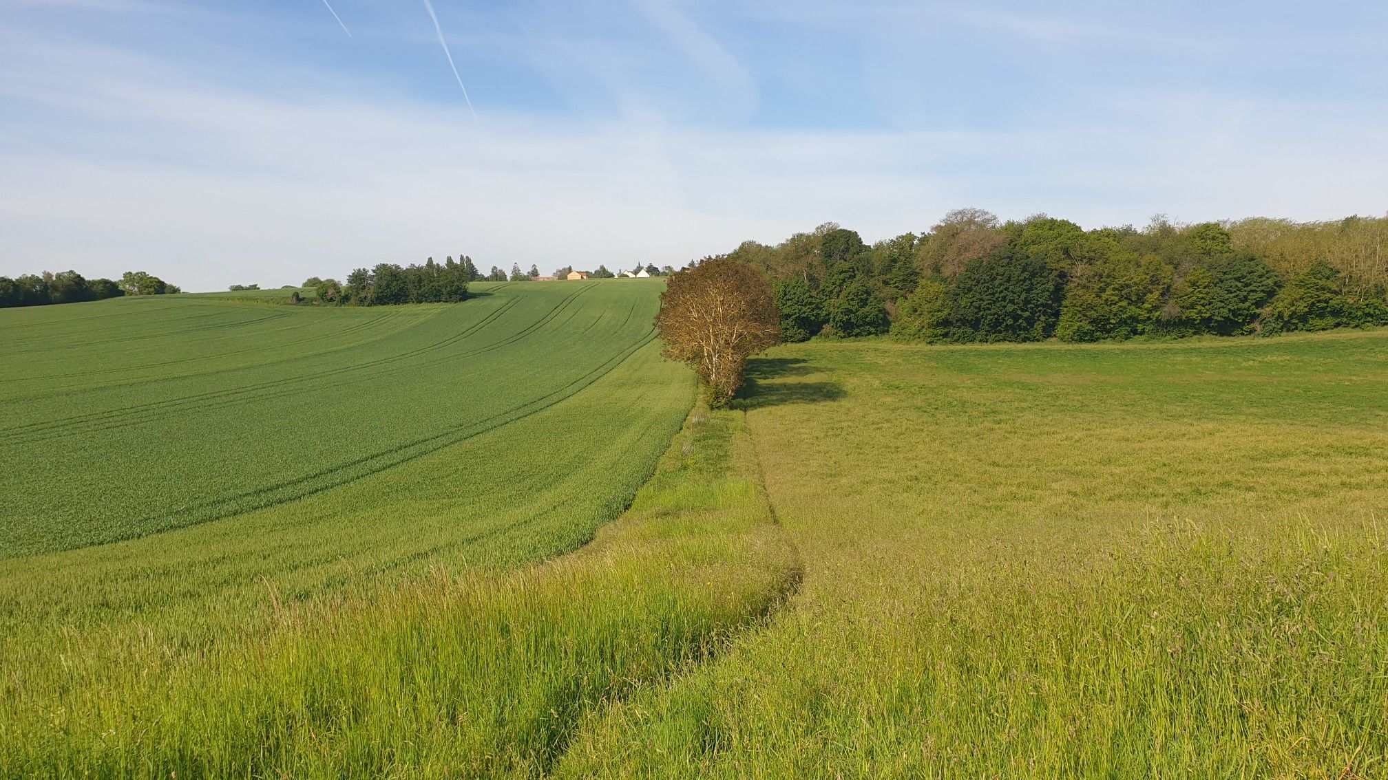 point de vue
