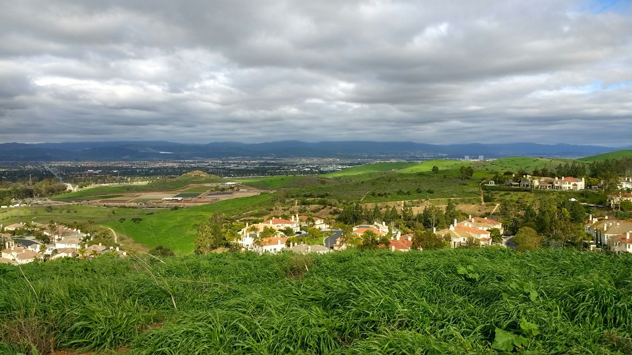 Green hills, houses, and a city under an overcast sky. - French Hill loop from Concordia University, Irvine