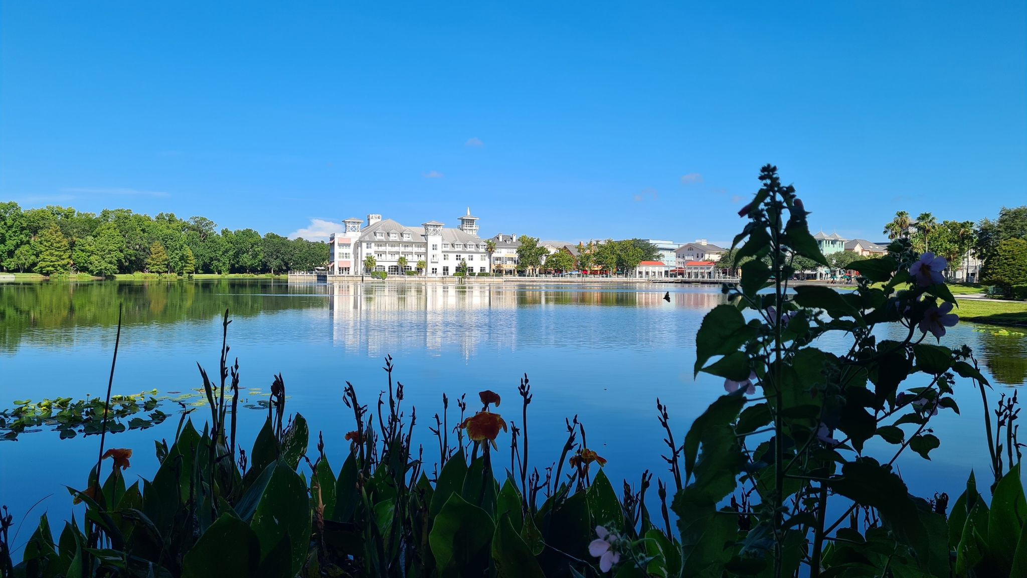 Distant white buildings reflect in a lake, with vibrant flowers in foreground. - Celebration Village loop via Lake Rianhar & Lake Evalyn