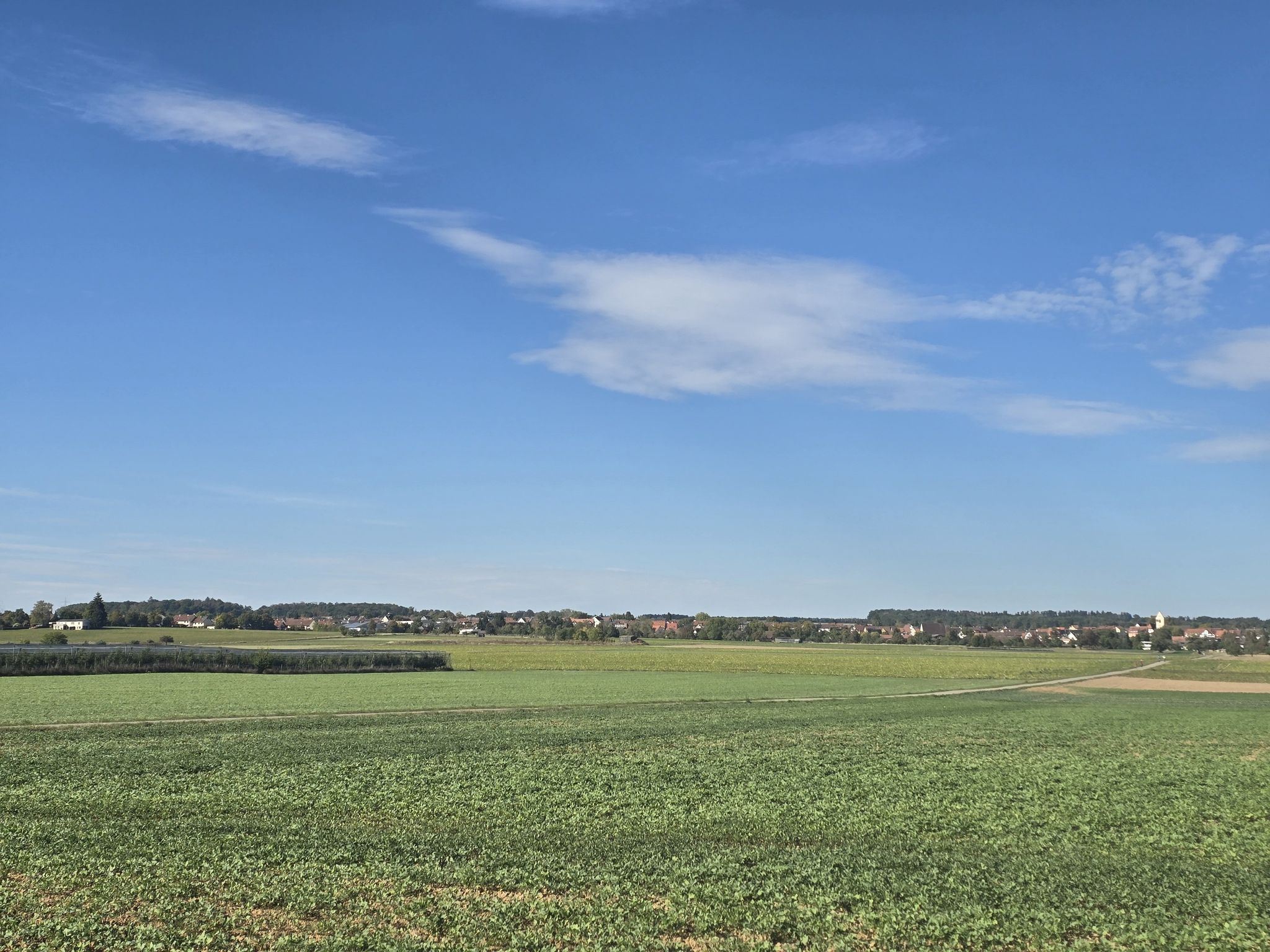 Blick auf Öschelbronn