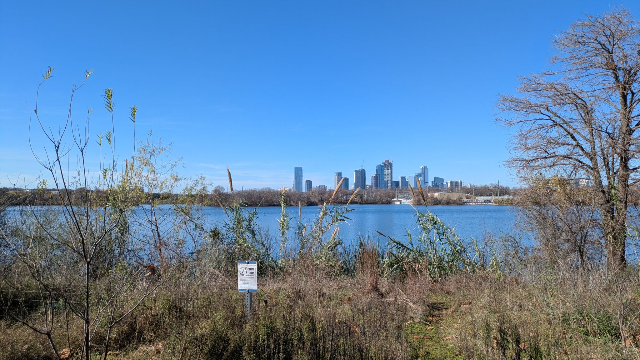 City skyline across blue water, with dry foreground vegetation under a clear sky. - Park Loop