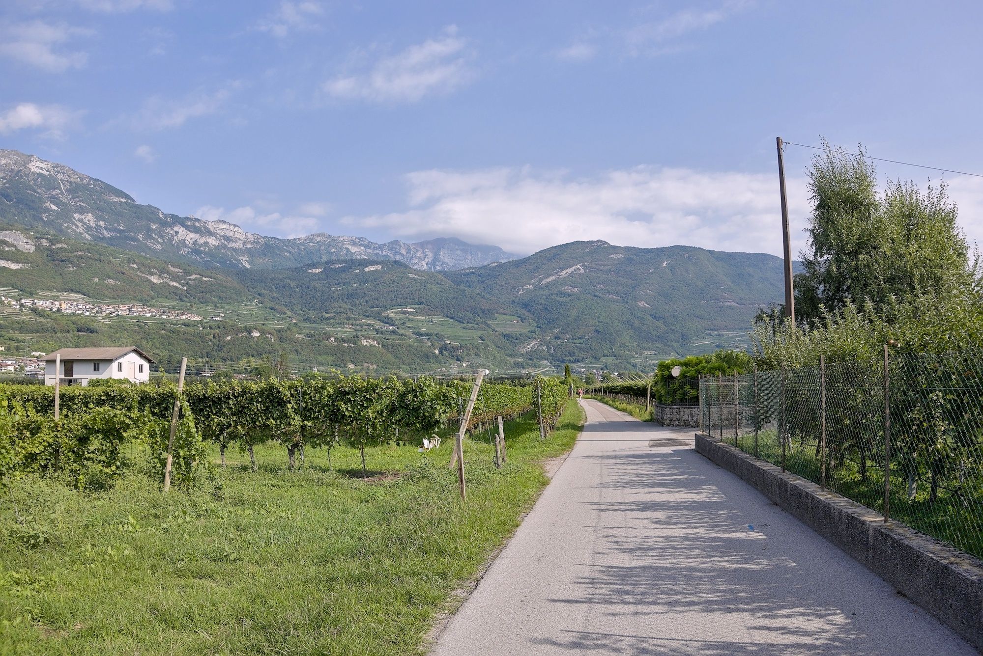 Auf dem wunderbaren Etschtal-Radweg