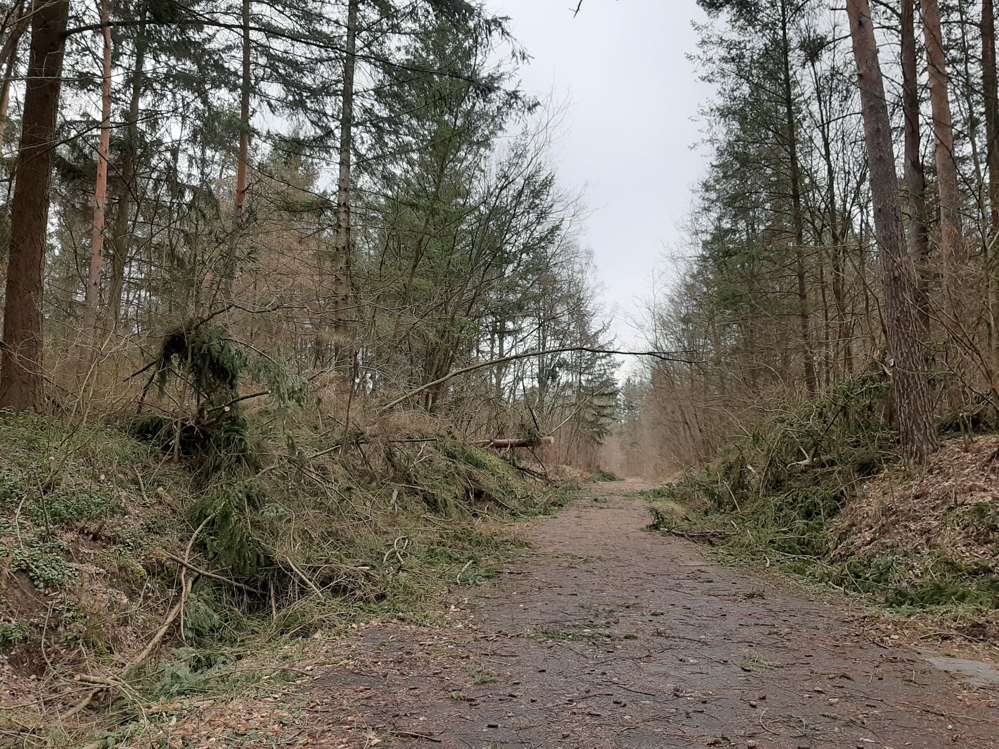Spaziergang  in der Mina