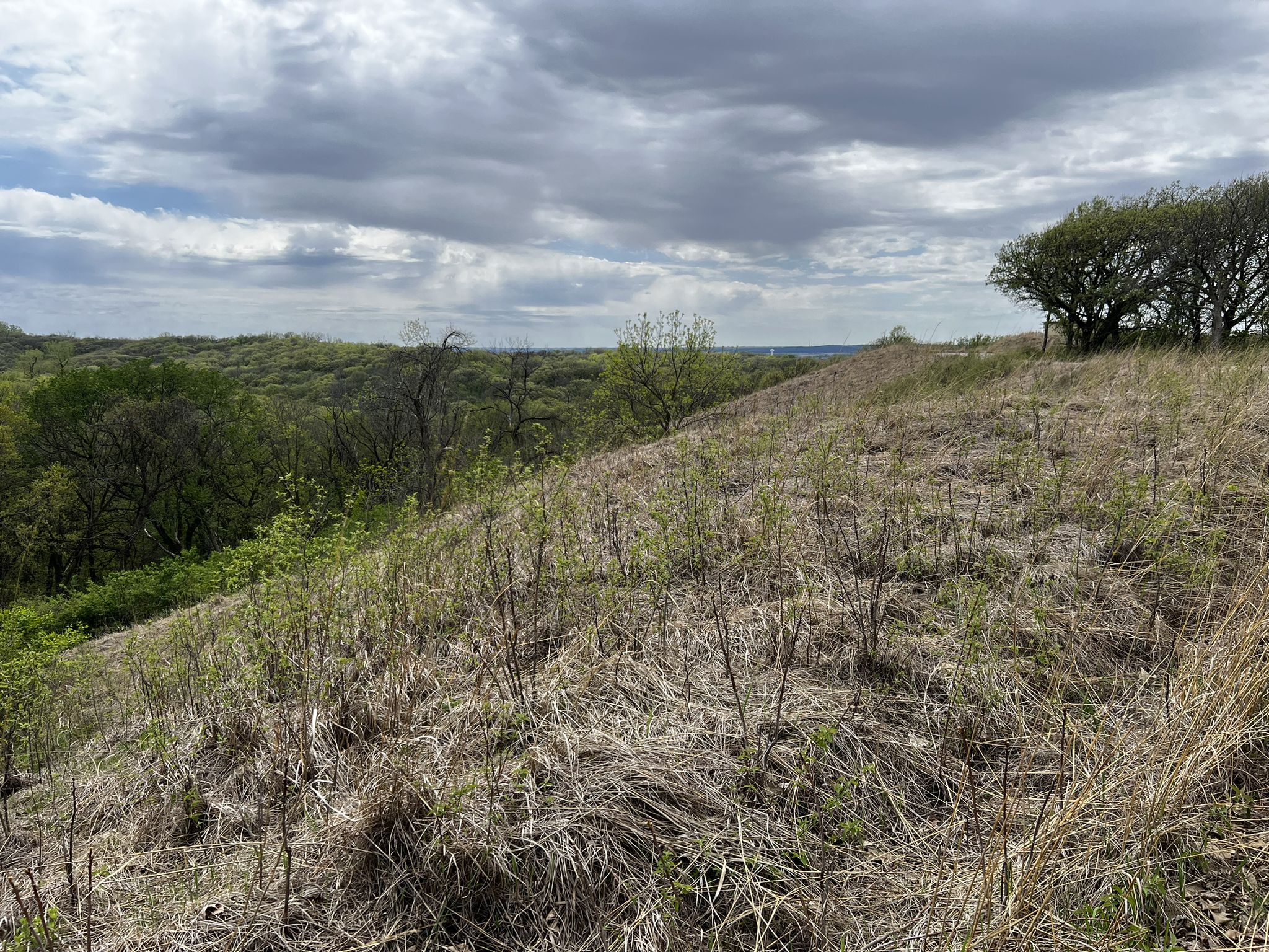 Dry grassy hillside with distant green trees under a cloudy sky. - Stone State Park Loop Trail