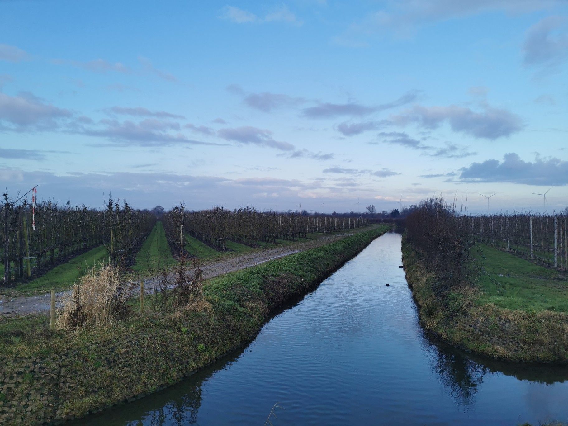 De Betuwe... 