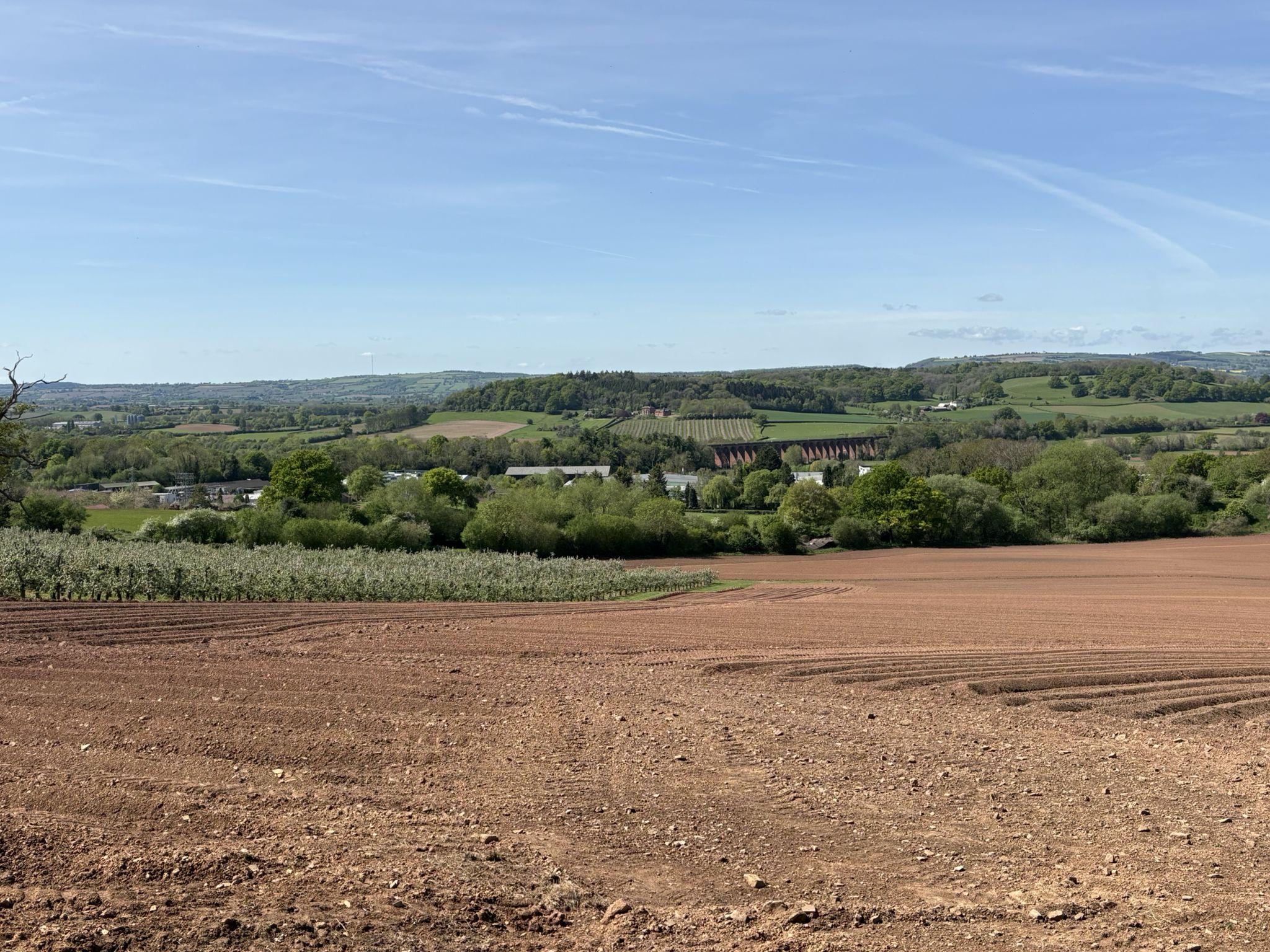 Fields near Ledbury