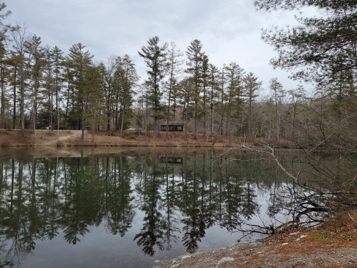 Serene lake reflecting tall pine trees and a small building under a gray sky. - Byrd Lake loop from Cumberland Mountain State Park