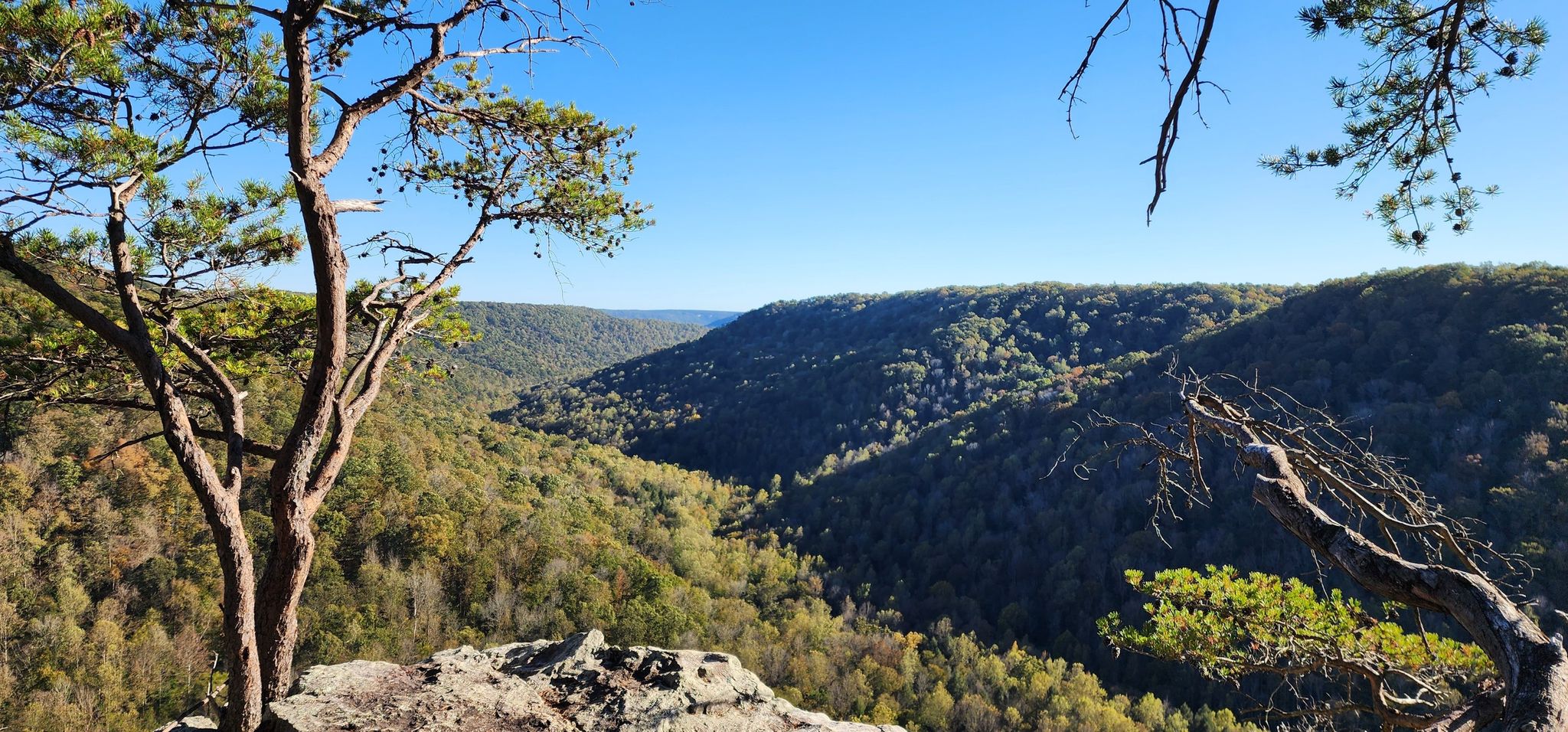 A wide view of a forested valley under a clear blue sky from a rocky perch. - Fiery Gizzard and Dog Hole Trail Loop
