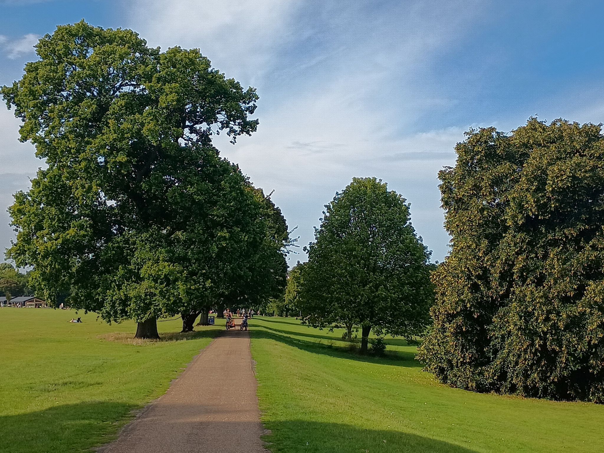 mote park
