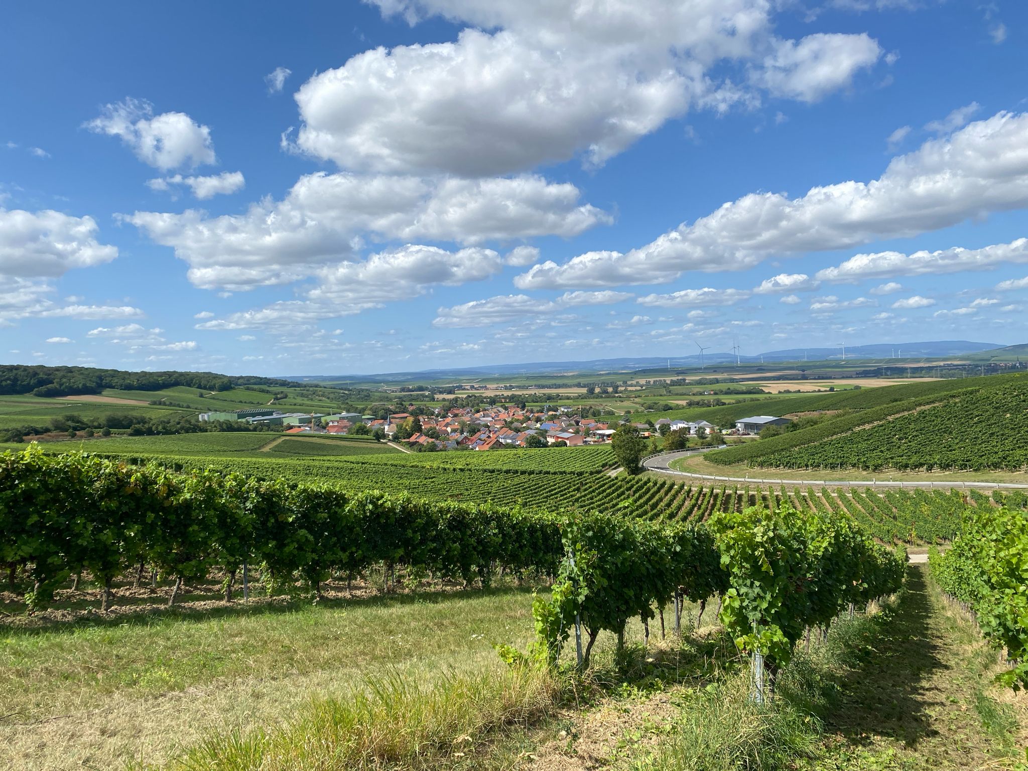 Blick auf Lonsheim
