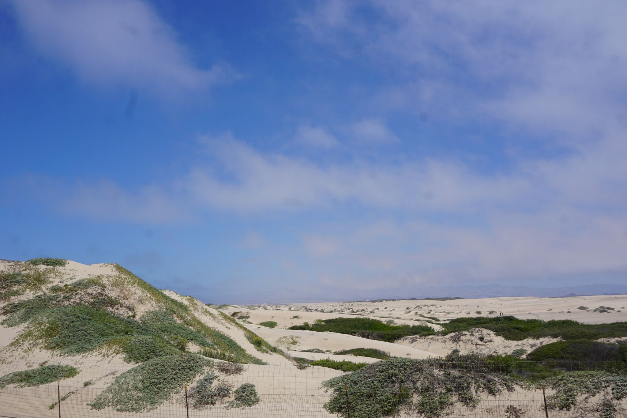 Sandy dunes with green vegetation under a partly cloudy blue sky. - Oso Flaco Lake Trail