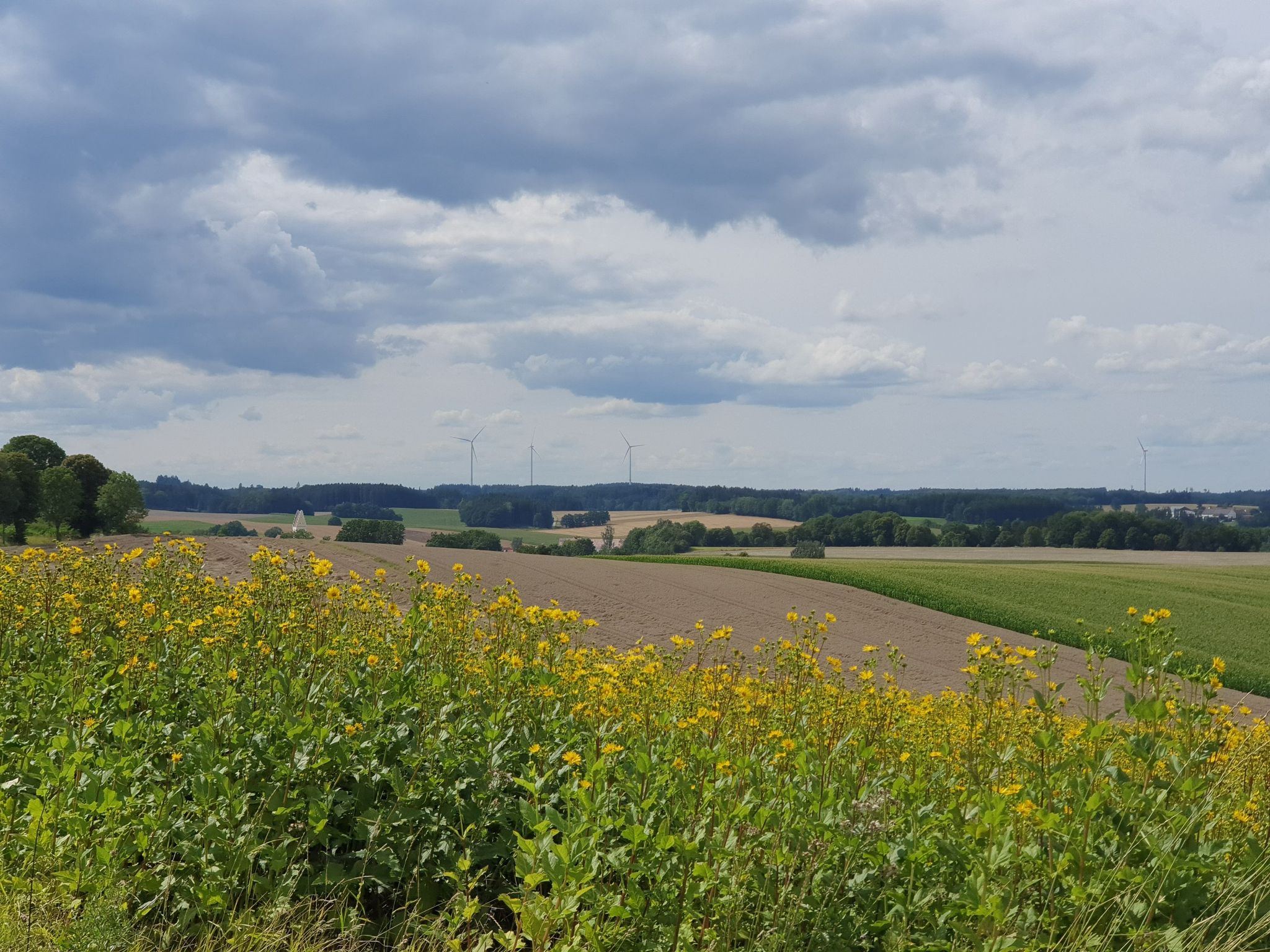 Der Kirchturm schaut nur noch mit der Spitze raus