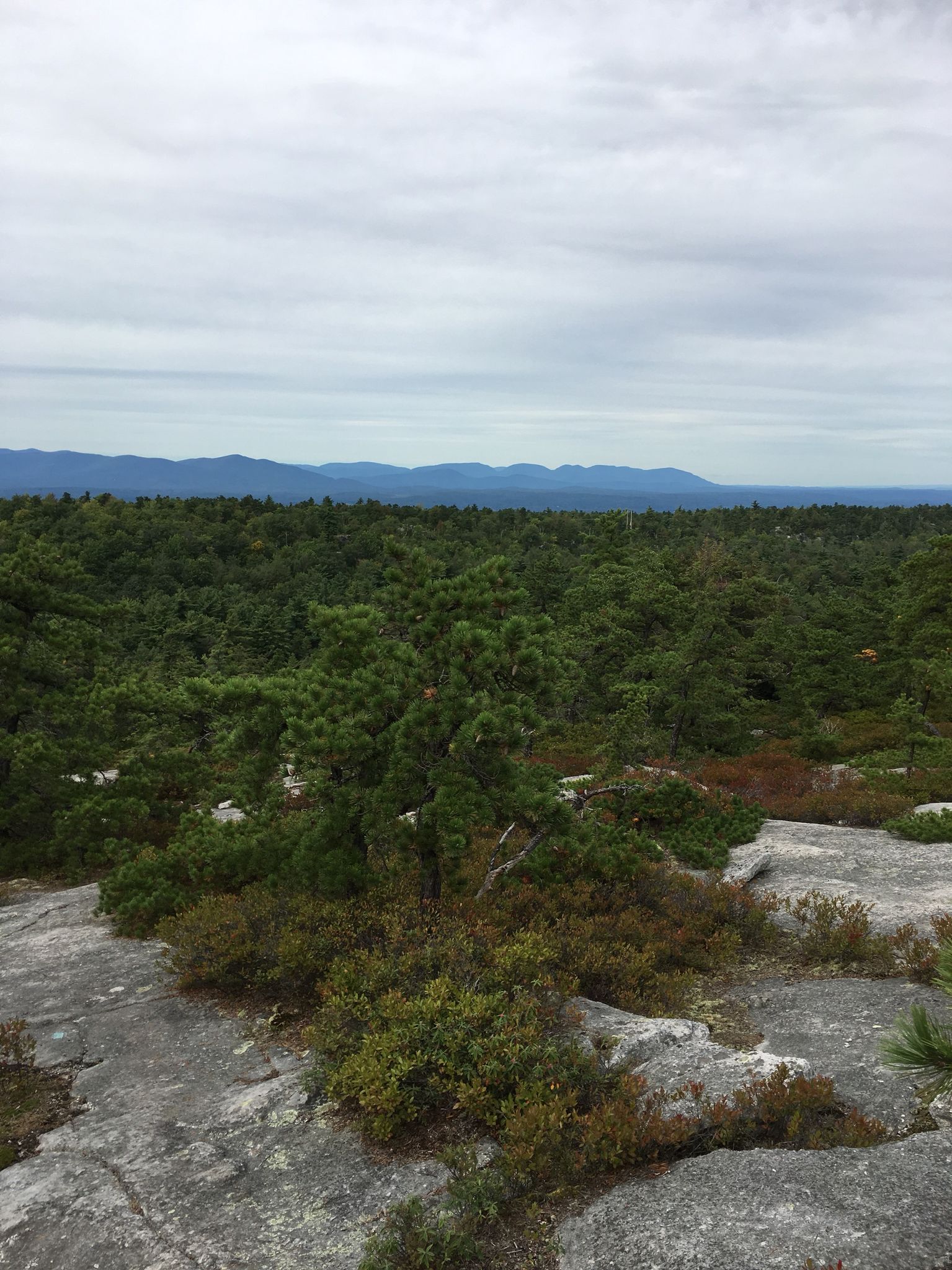 Rocky foreground with green bushes, overlooking a vast forest and distant mountains. - Rainbow Falls Loop