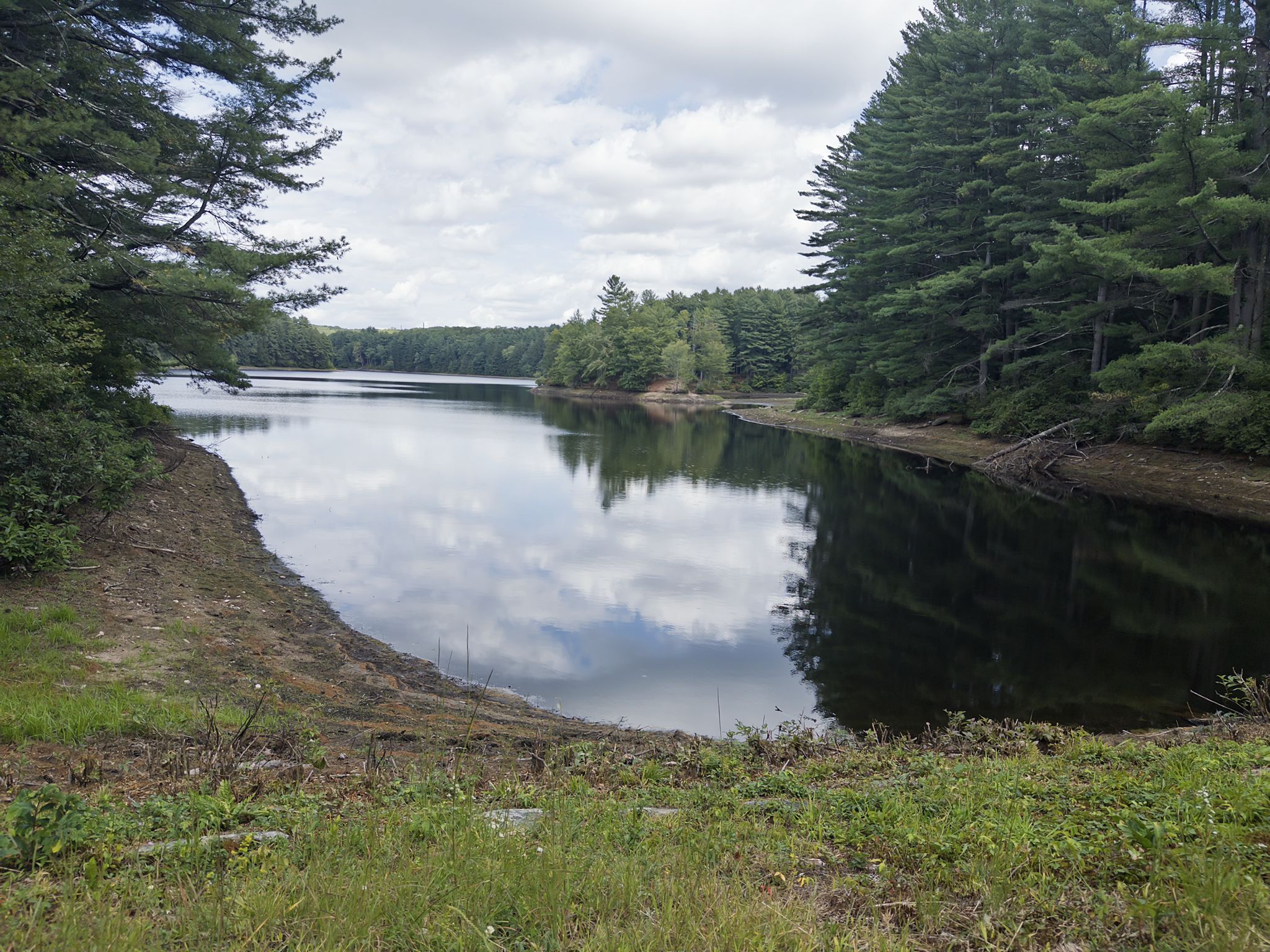 Calm lake reflecting cloudy sky, surrounded by dense green forest. - Buckingham Reservoir Trail