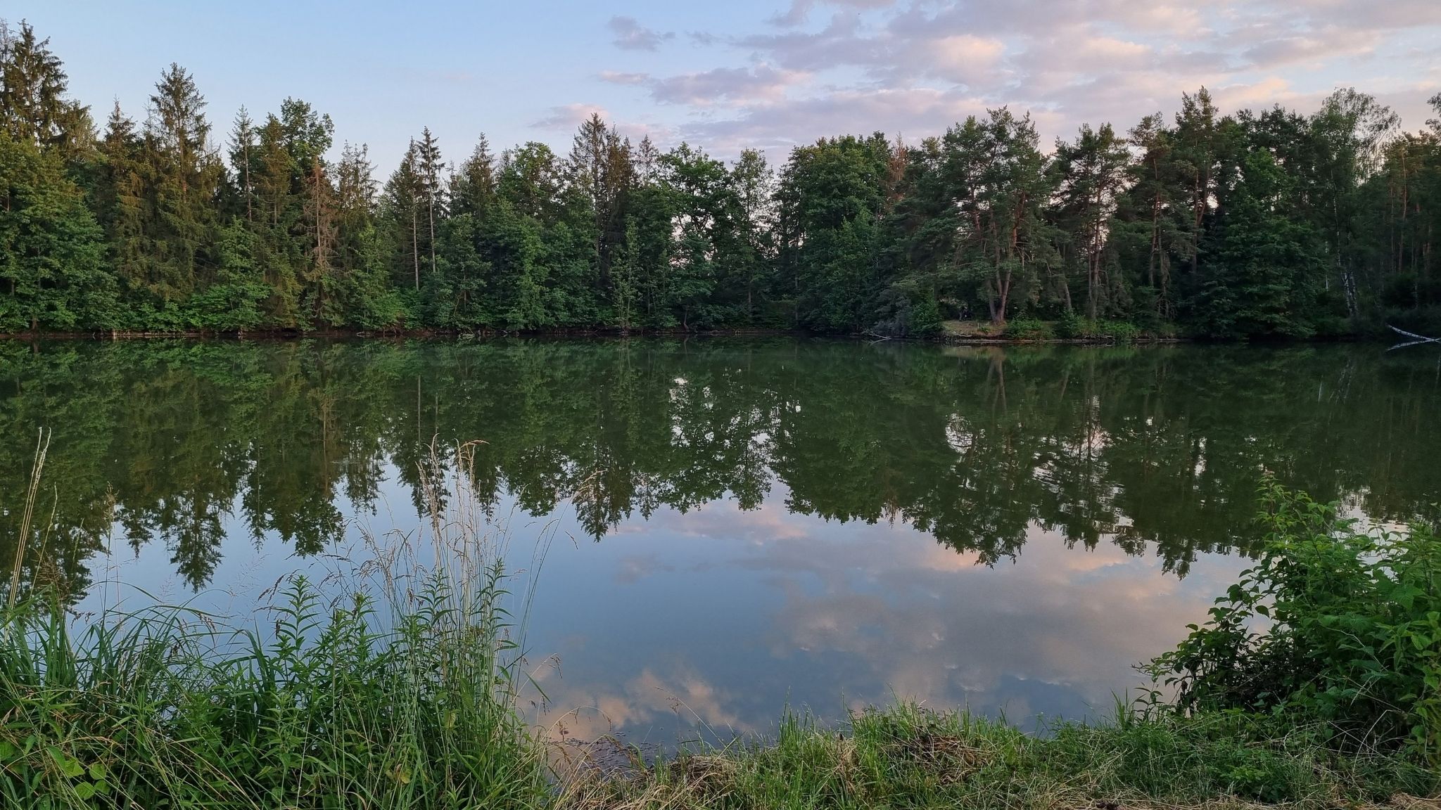Weiher bei Ilmendorf....