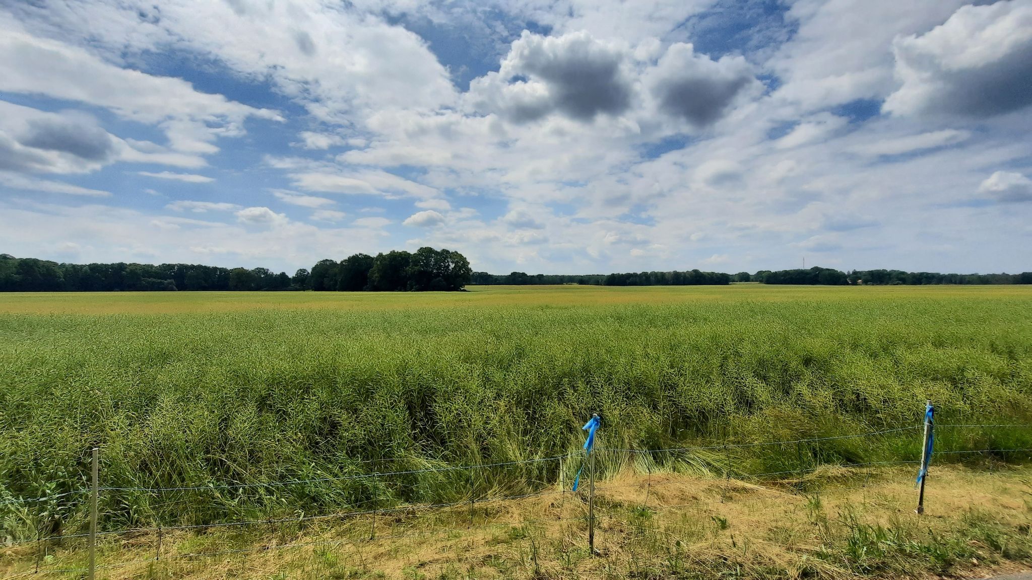Am Mühlengraben bei Nieder-Neundorf