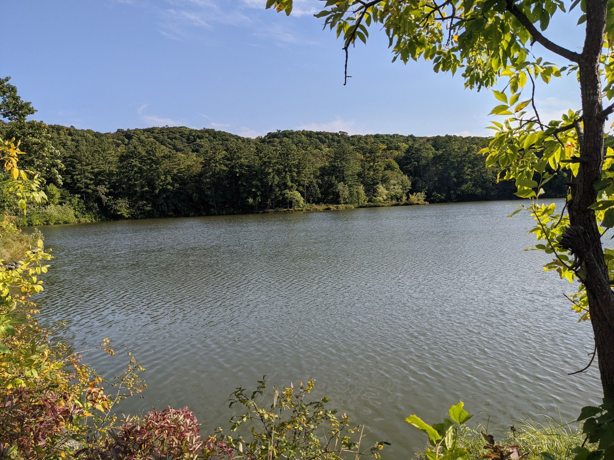Serene lake surrounded by dense green forest under a blue sky. - Lake O' The Dalles – Echo Canyon Trail loop from Interstate Park