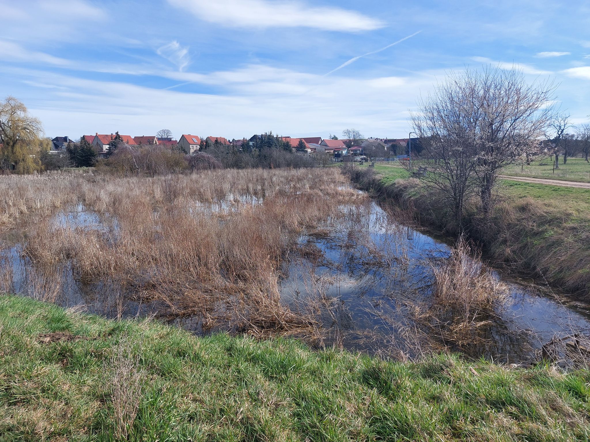 Karpfenteich
