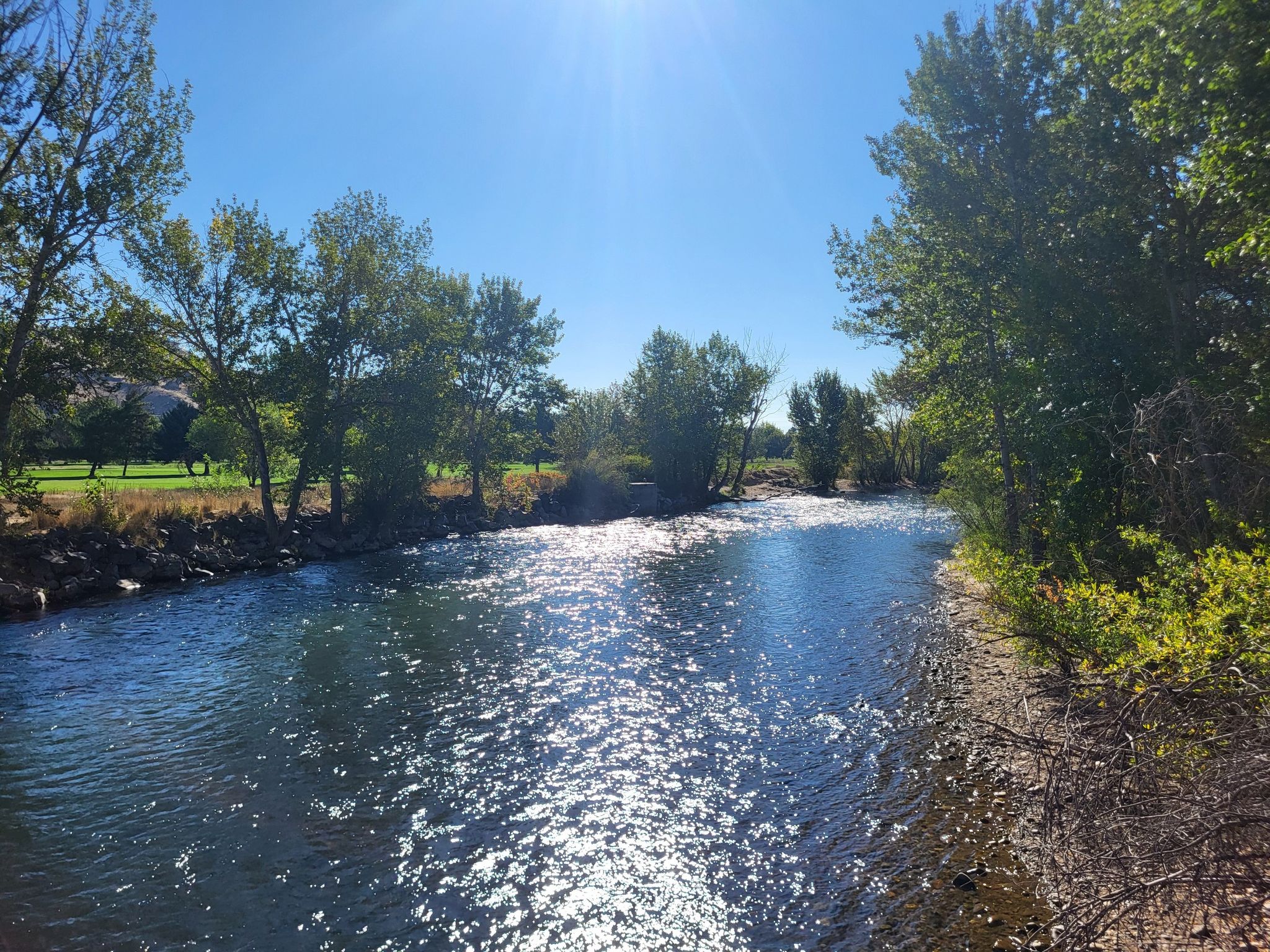 A sparkling river flows under a bright sun, bordered by green trees. - Boise River – Boise River Greenbelt loop from Boise