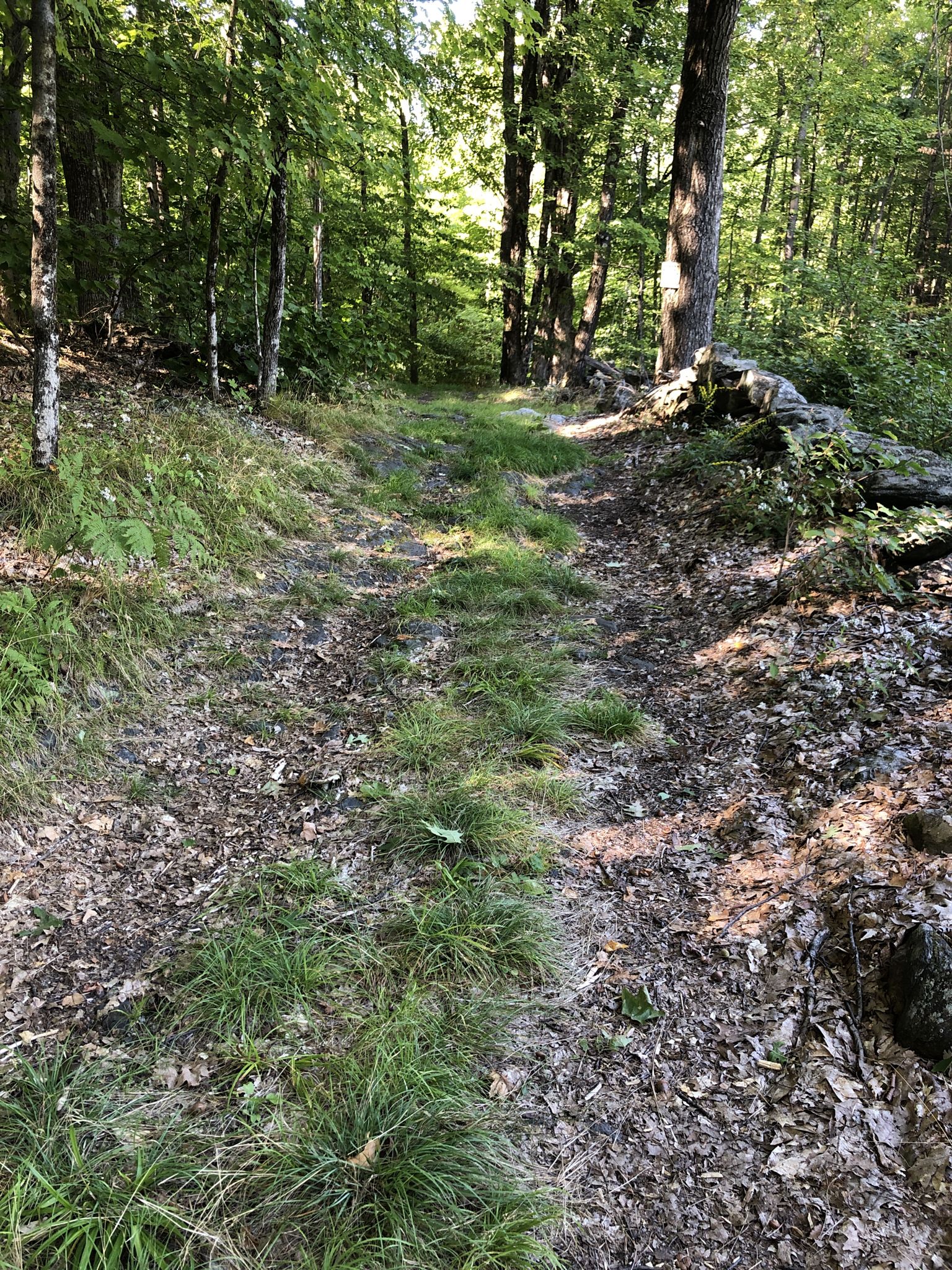 Just after road turns to class IV