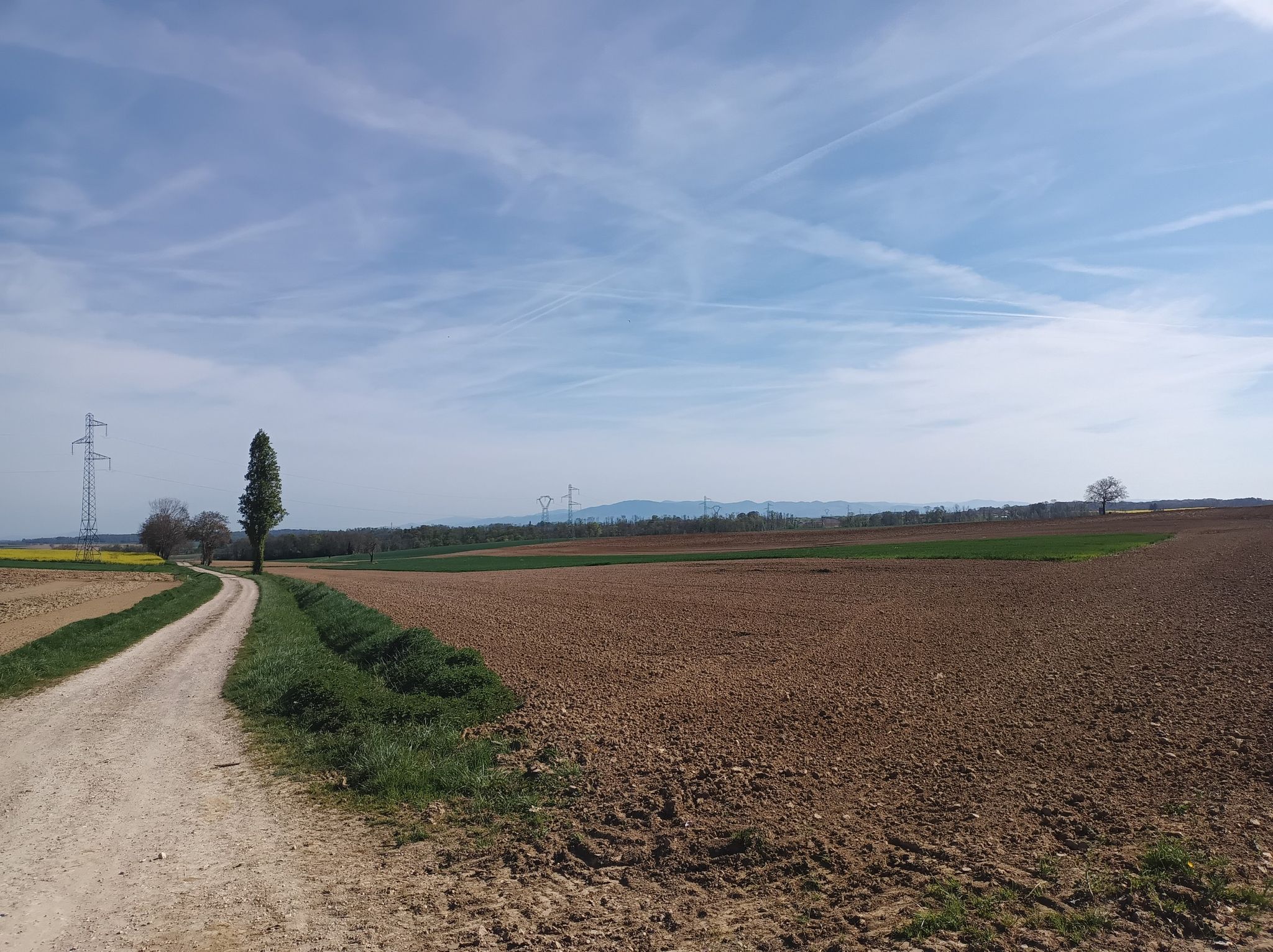 Hochschwarzwald mit Feldberg
