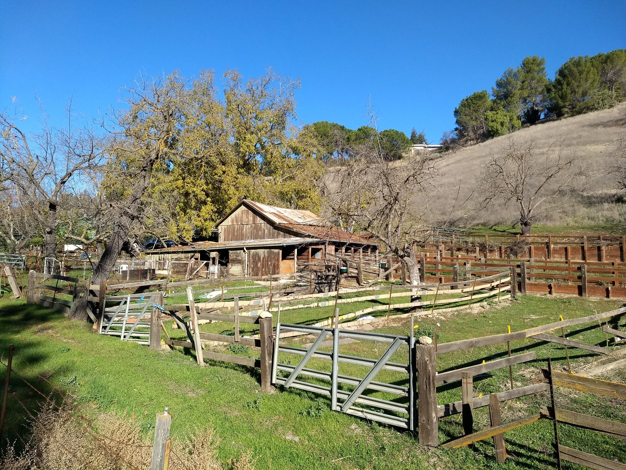 A rustic wooden barn in a sunny, fenced, grassy area with bare trees. - Los Gatos Creek Trail bridge – Shannon Road (climb) loop from Fruitdale