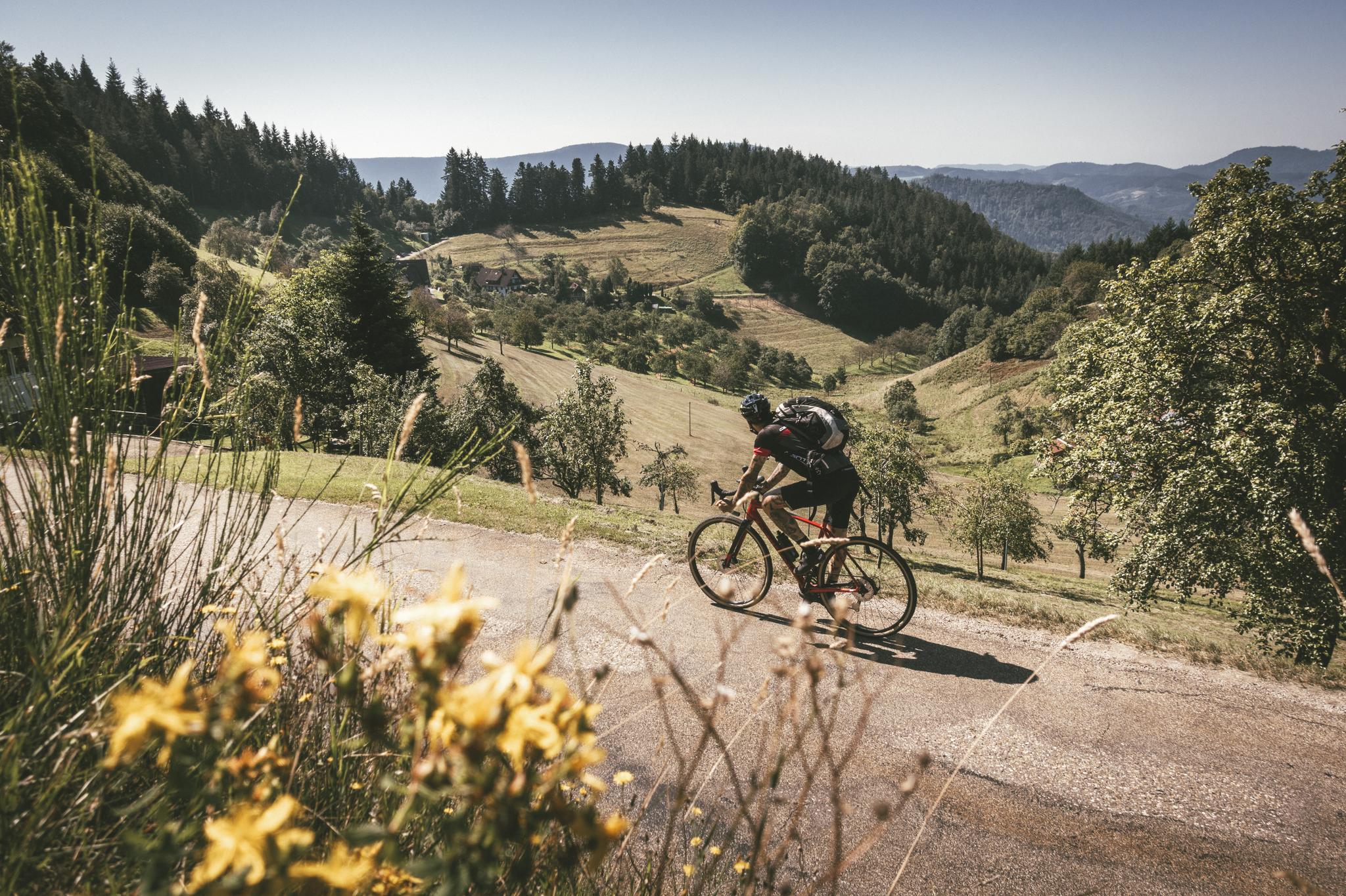 Die Top-Mountainbike-Touren im Schwarzwald | Komoot
