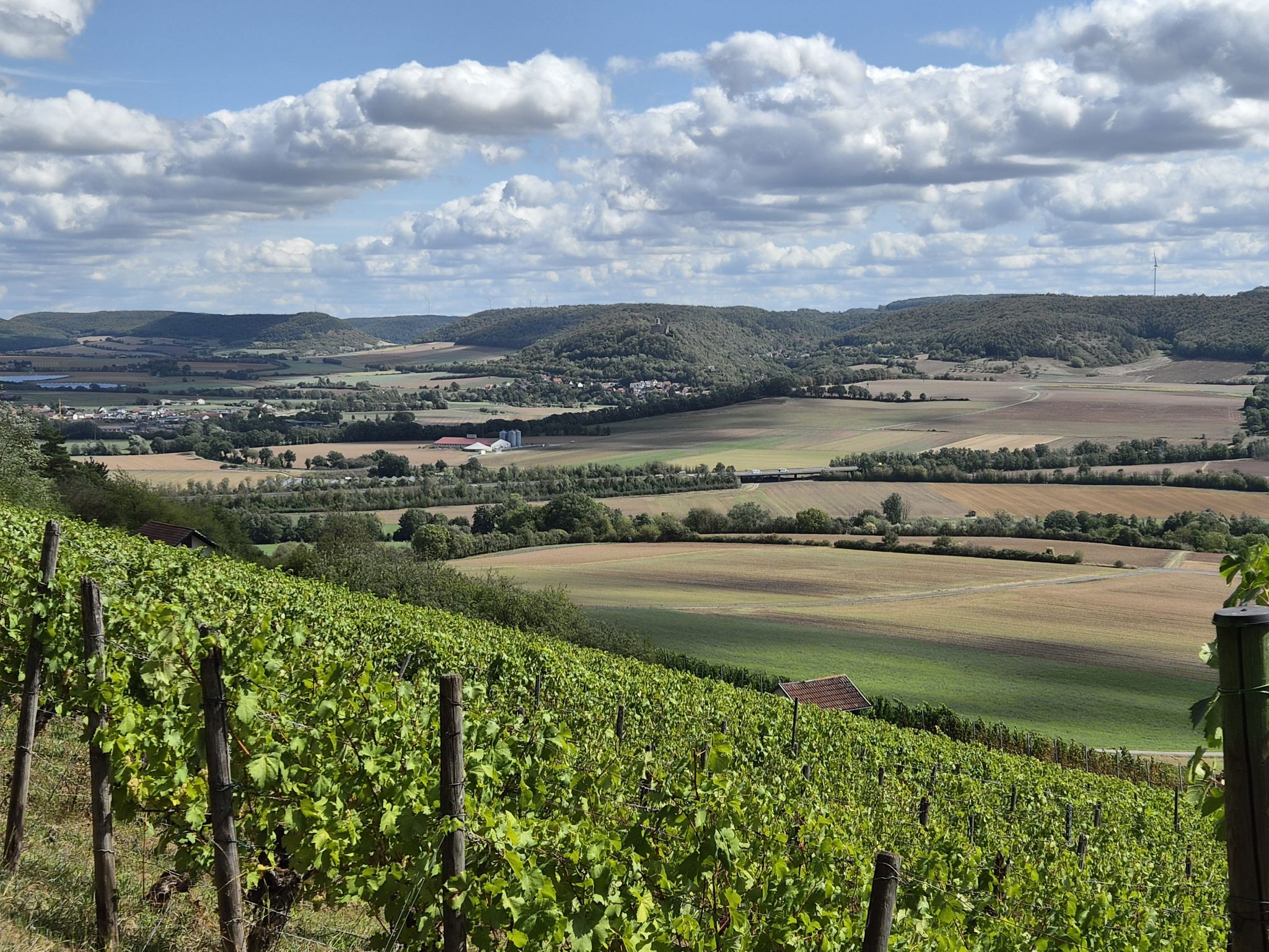 Blick auf die Trimburg