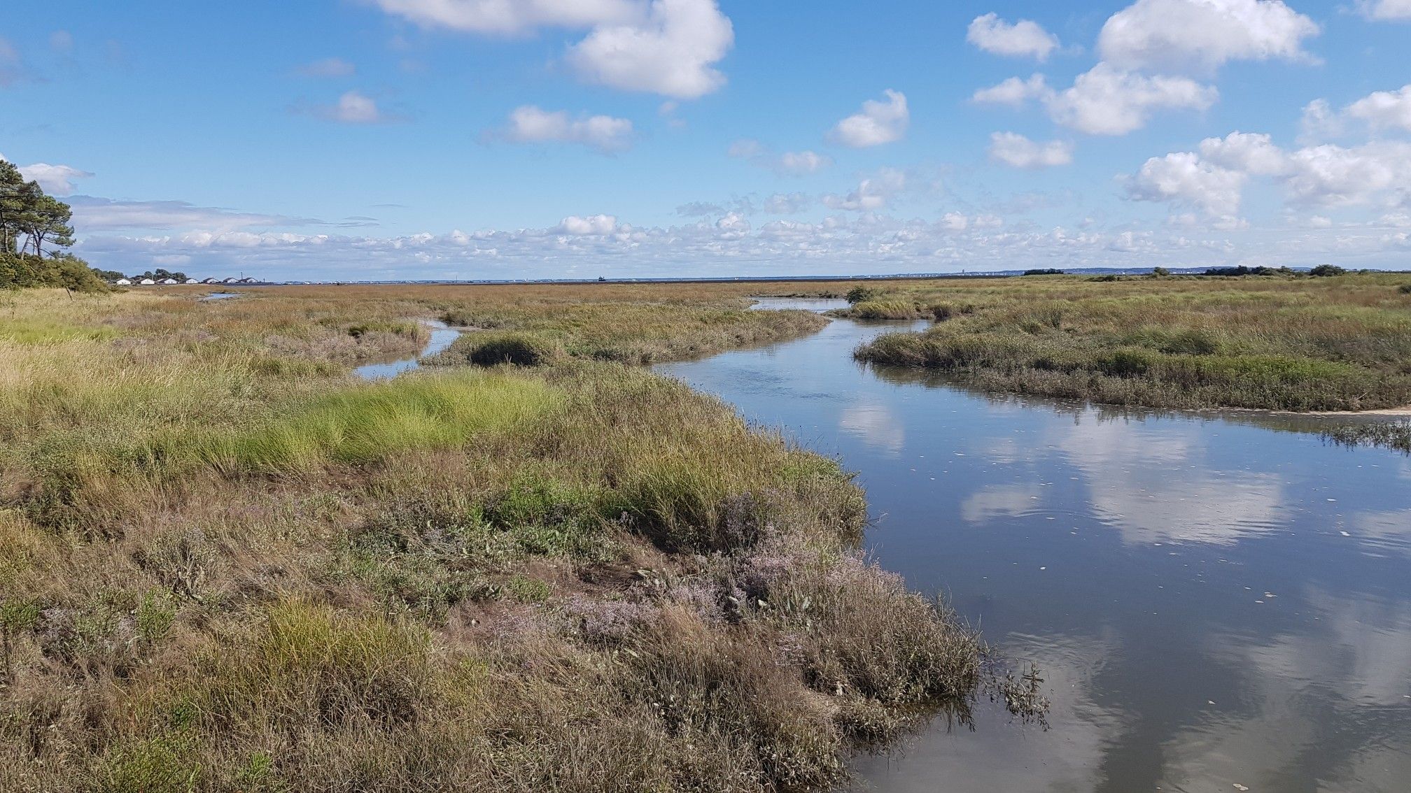 Bassin d'Arcachon