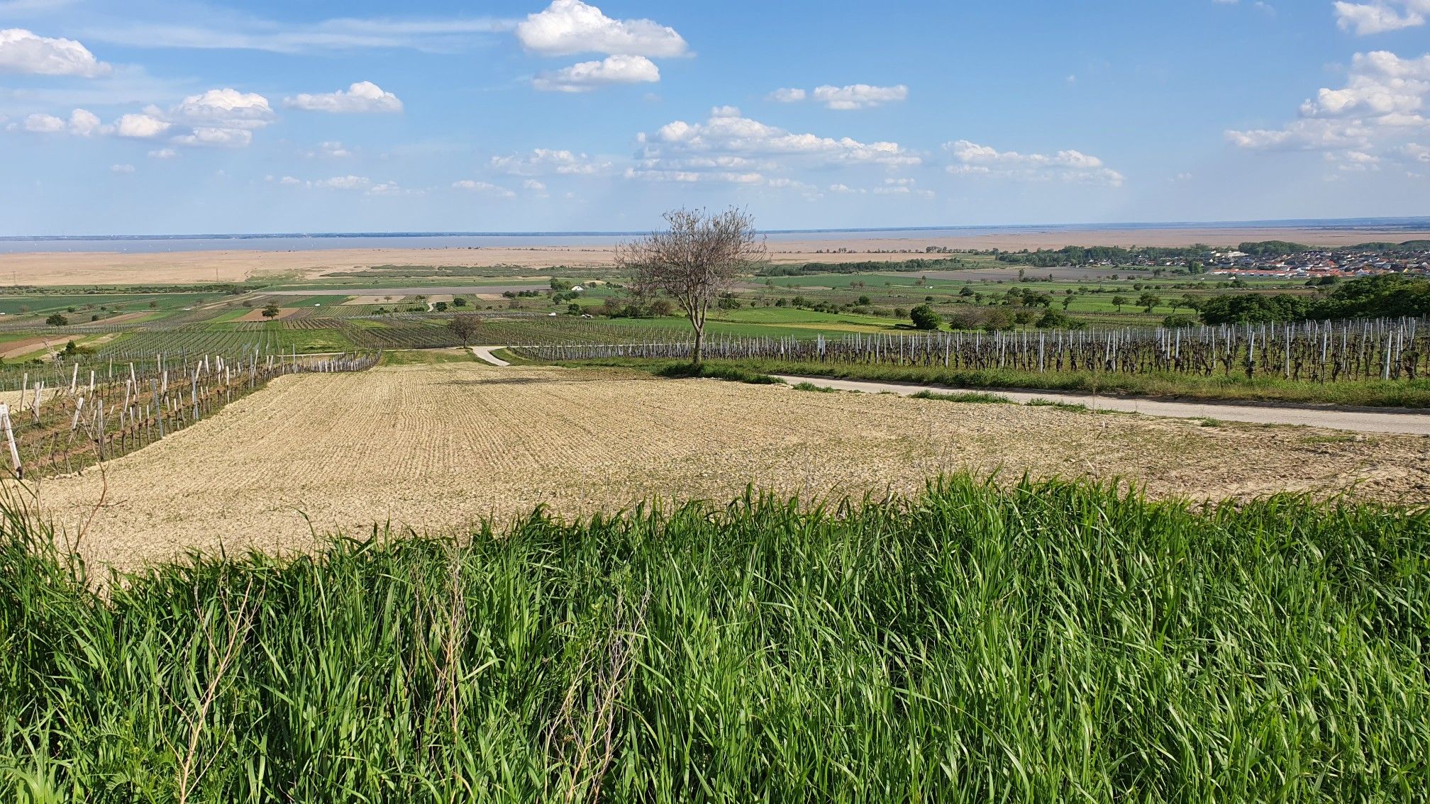 Kaiserwetter am Edelgraben