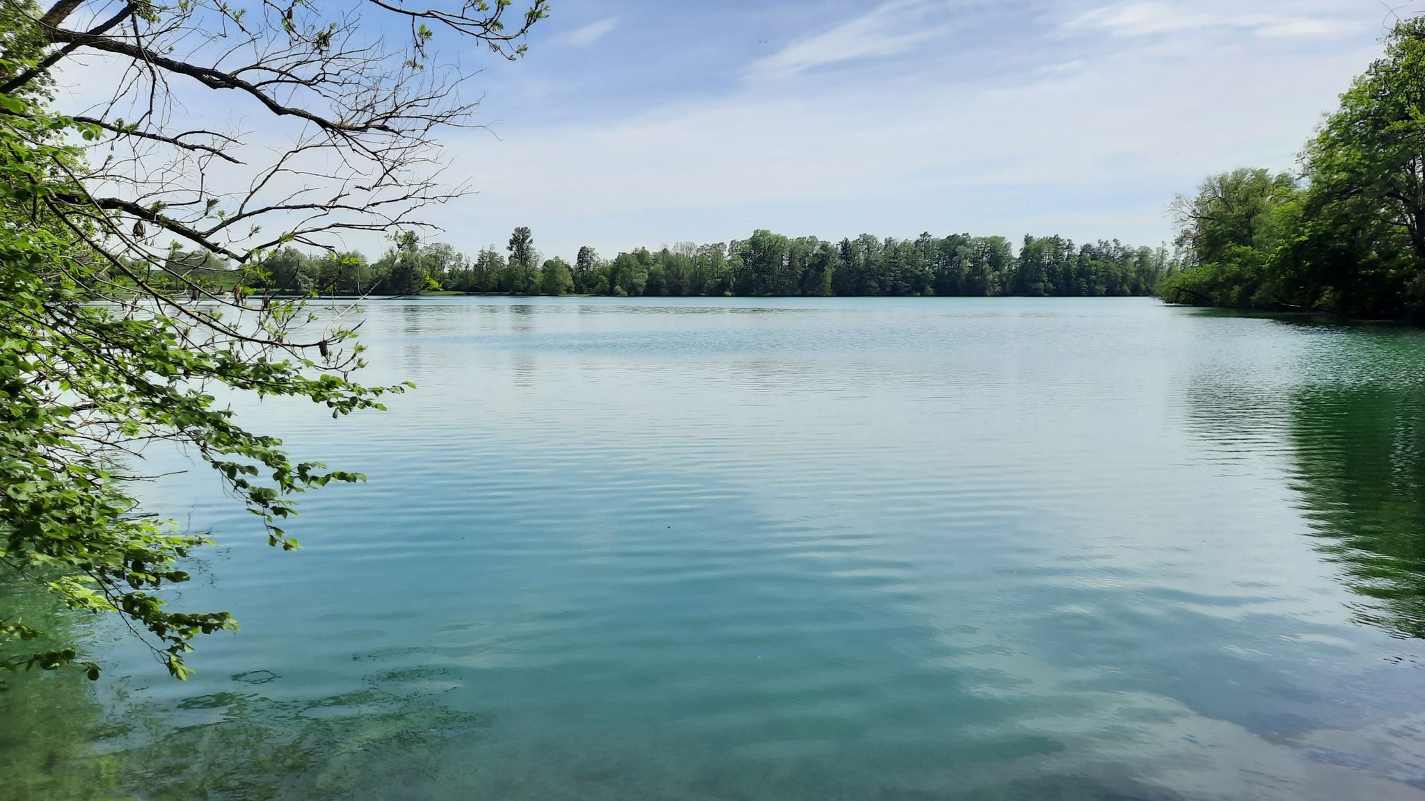 Thenner Weiher