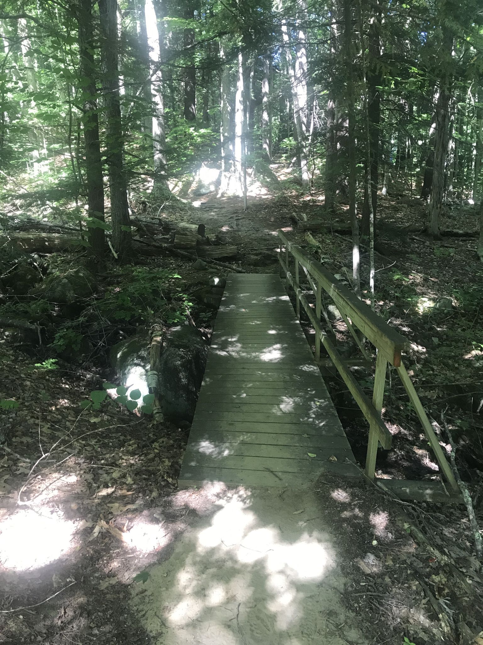 A wooden footbridge crosses a shaded forest path with dappled sunlight. - Summit and Province Trail Loop