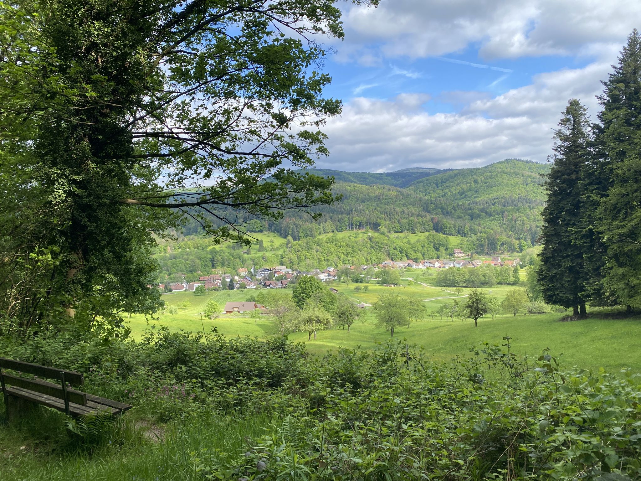 Blick auf Geroldsau