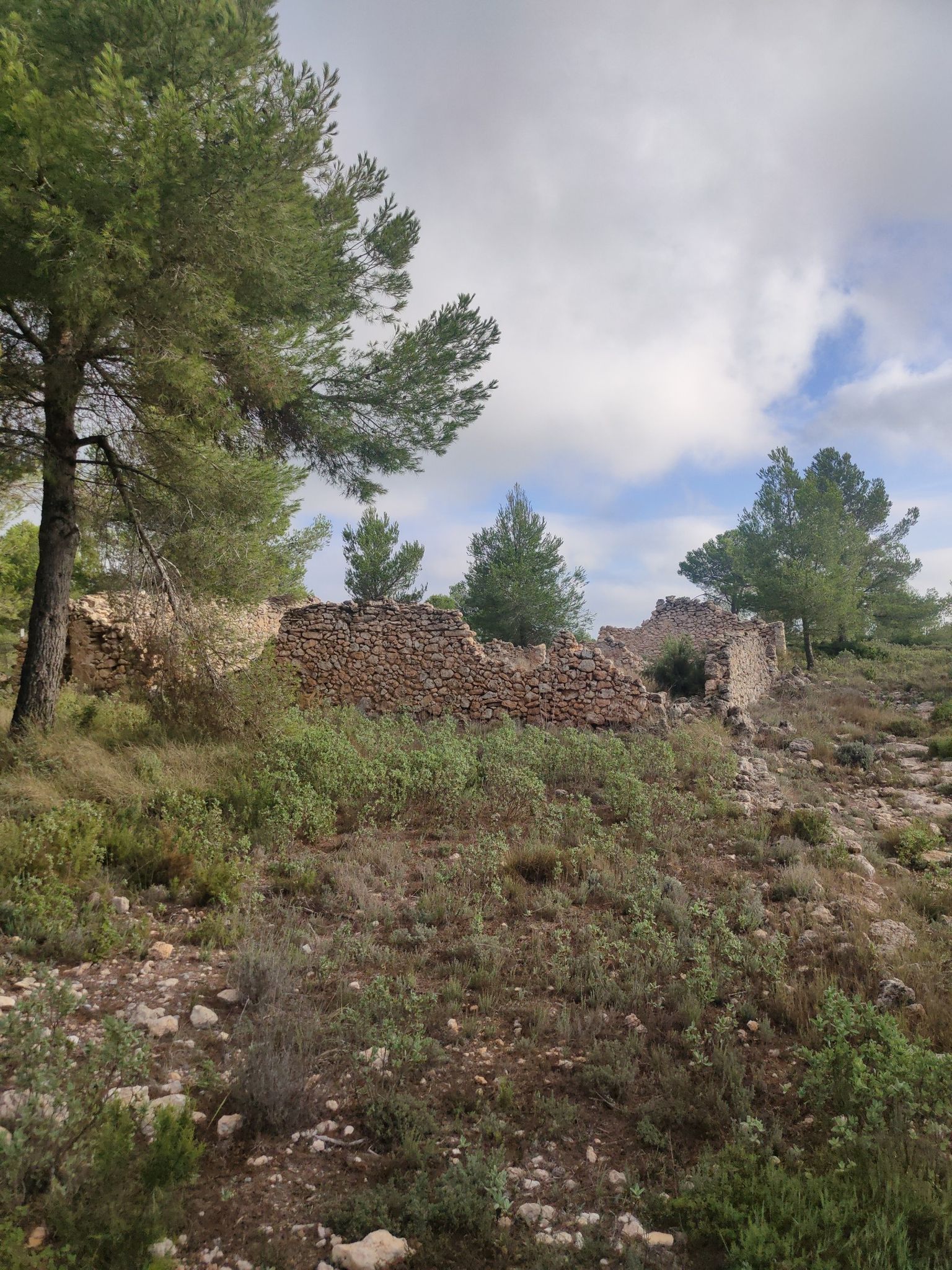 Ruinas