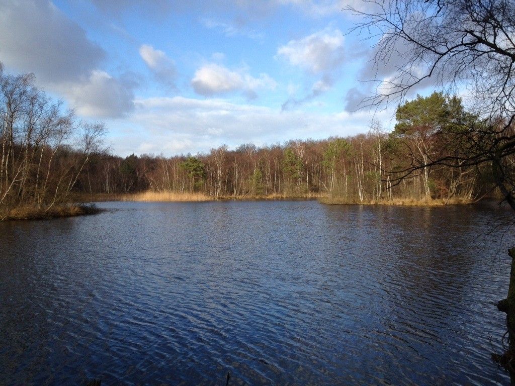 Wesloer Moor