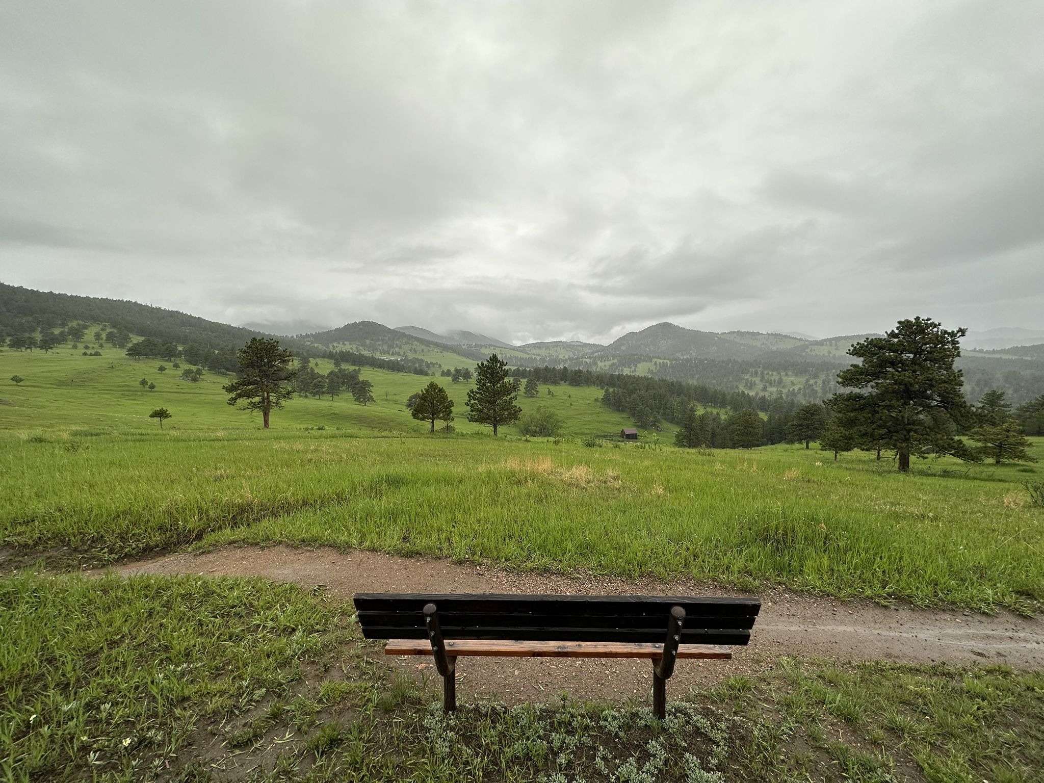A park bench overlooks green hills and distant mountains under an overcast sky. - Maverick and Sawmill Trail Loop