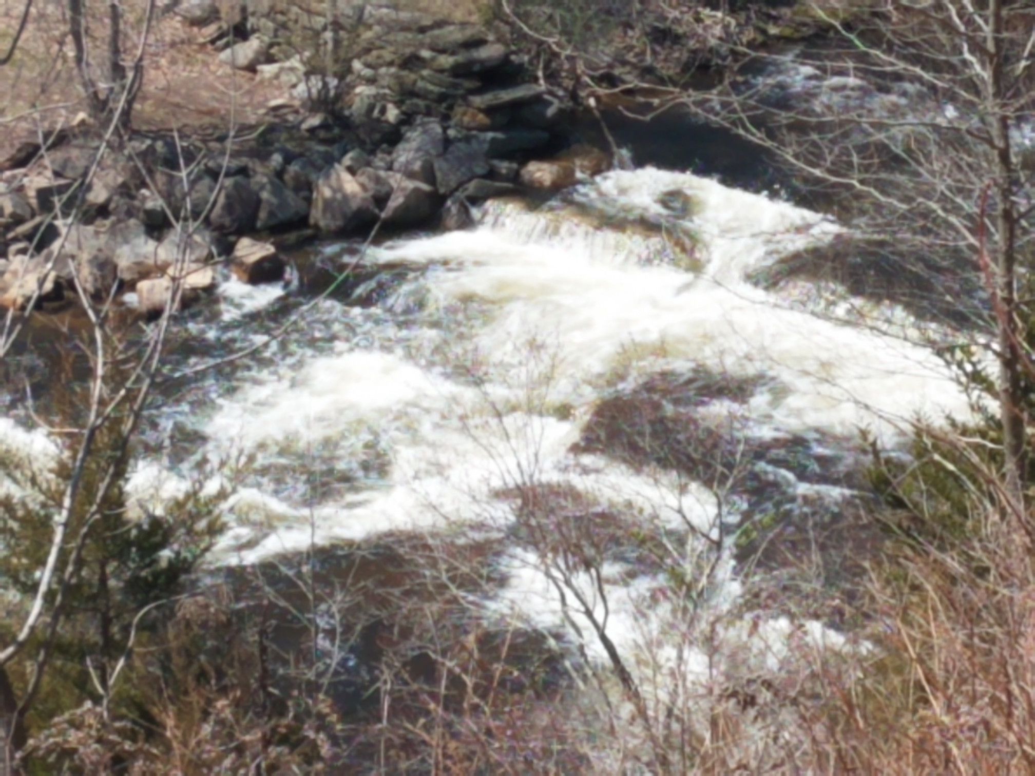 Rushing river cascades over rocks, framed by bare trees in bright sunlight. - Salmon River Trail