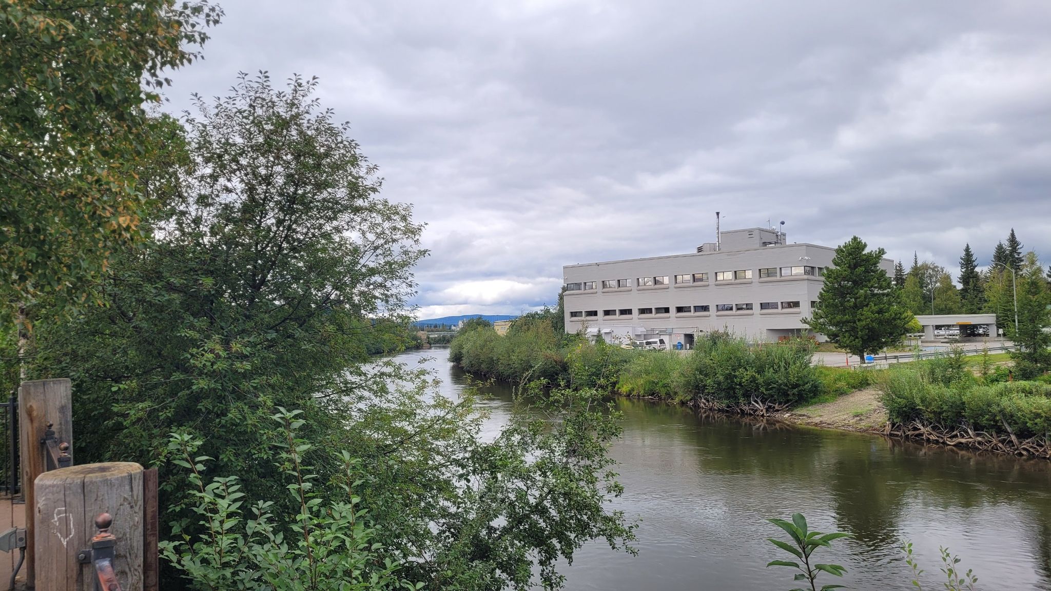 A wide river flows past a large building and green trees under a cloudy sky. - Ballaine Lake – Georgeson Botanical Garden loop from University of Alaska Fairbanks