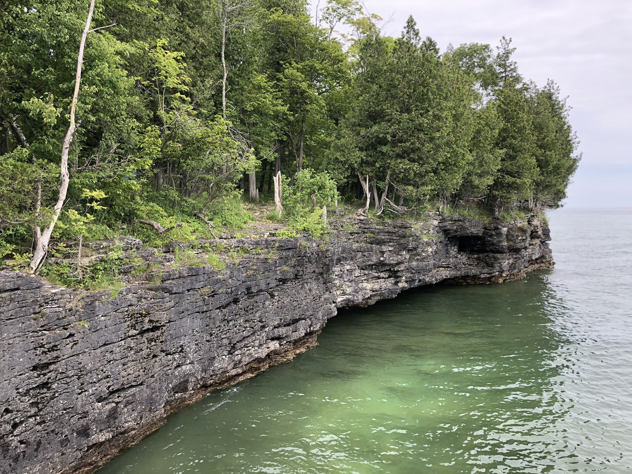 Rocky cliff with green trees overlooking clear green water under an overcast sky. - Cave Point – Old Baldy Overlook loop from Whitefish Dunes State Park