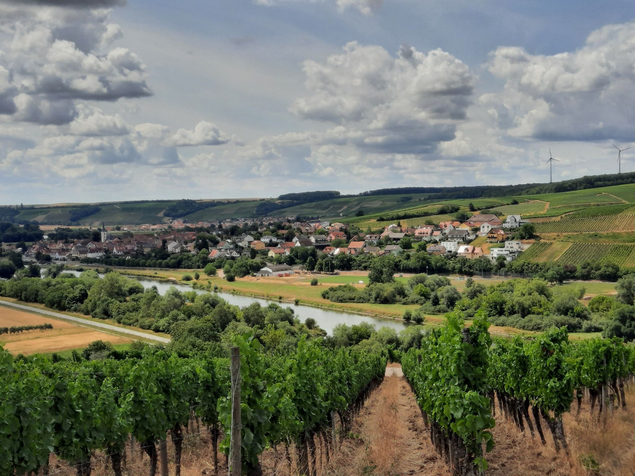 Panoramablick ins Maintal