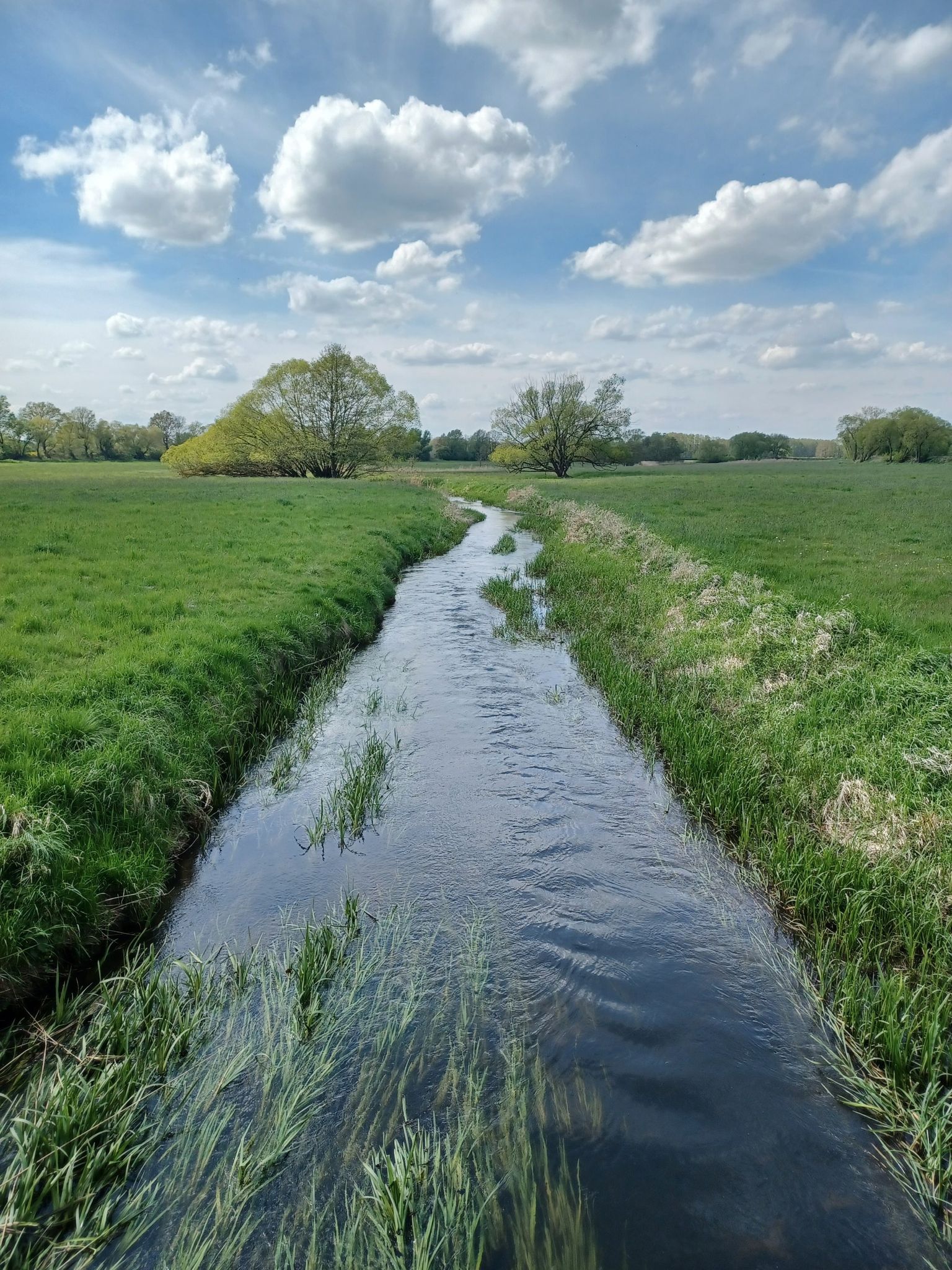 Dömnitz