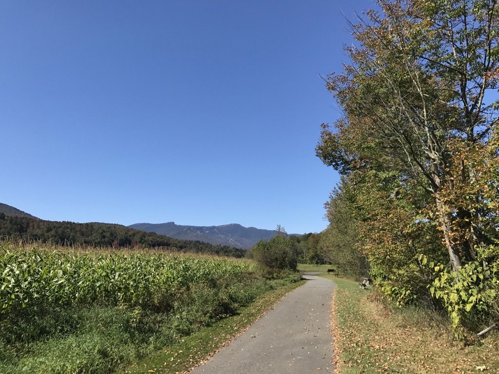 Paved path next to a cornfield, leading towards distant mountains. - Stowe Recreation Path loop from Cady Hill Forest