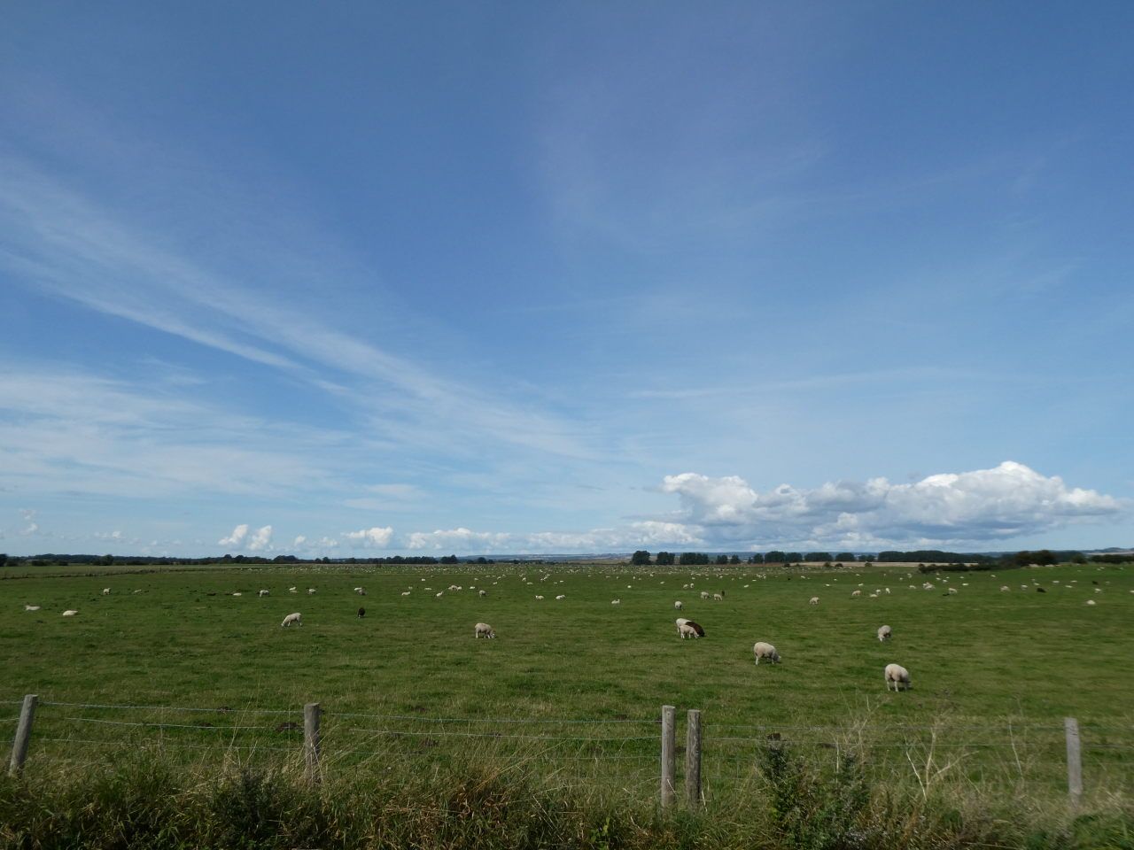 bei Cayton
