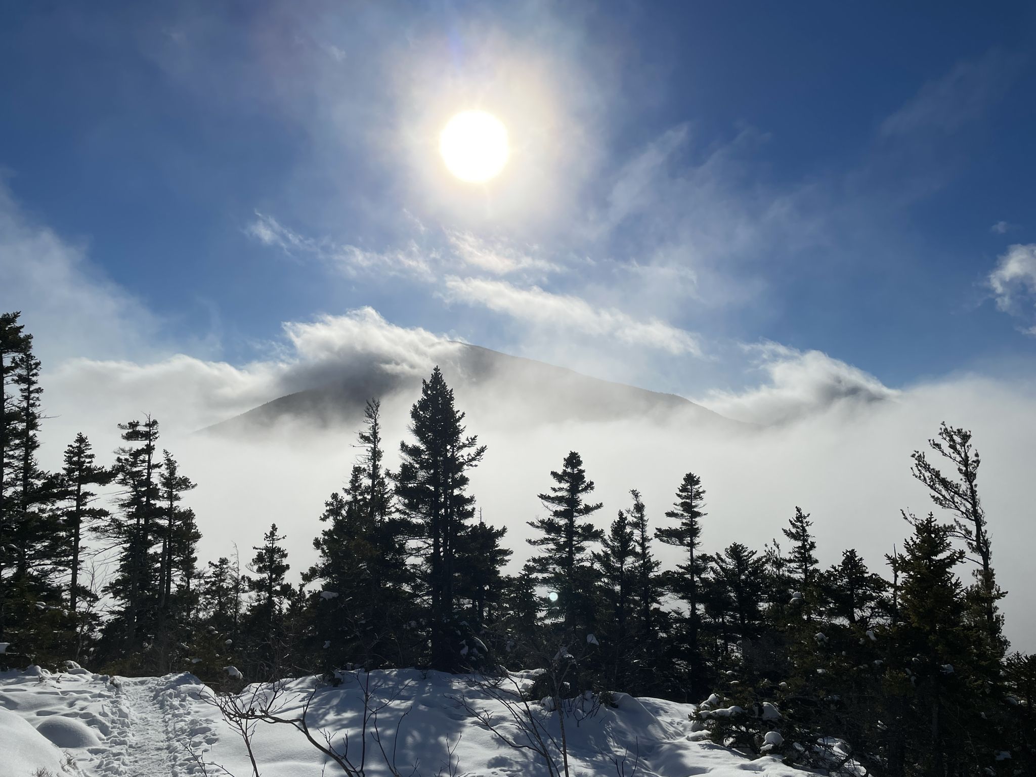 Bright sun over a snowy mountain peak shrouded in clouds, with evergreen trees. - Potash Mountain Trail